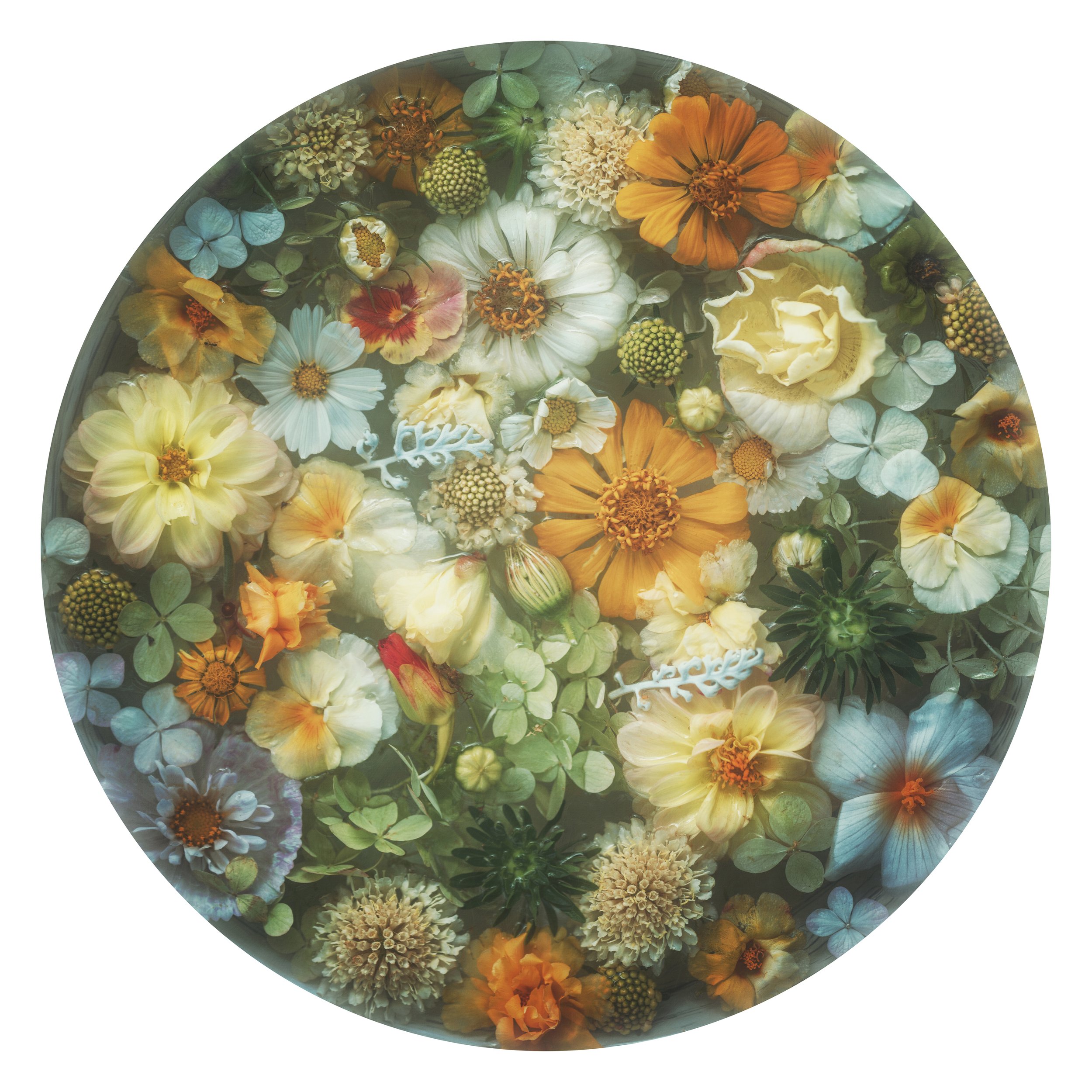 This floral arrangement beautifully merges gentle yellows and whites