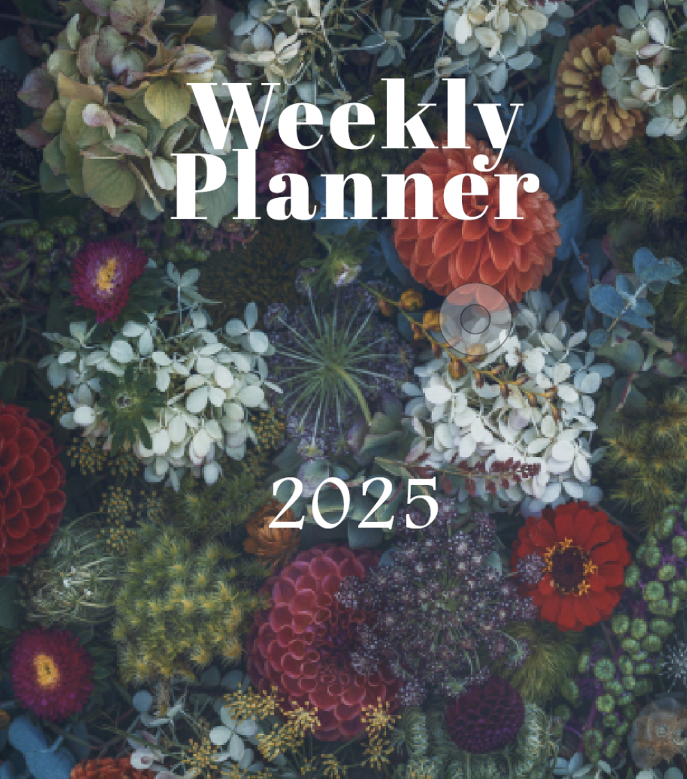 Screen Shot 2025-02-11 at 7.32.51 PM.png