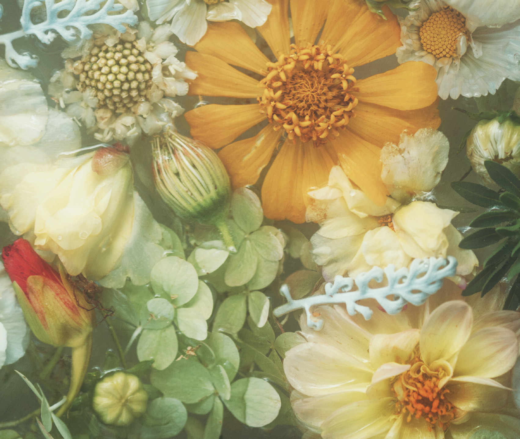 This floral arrangement beautifully merges gentle yellows and whites