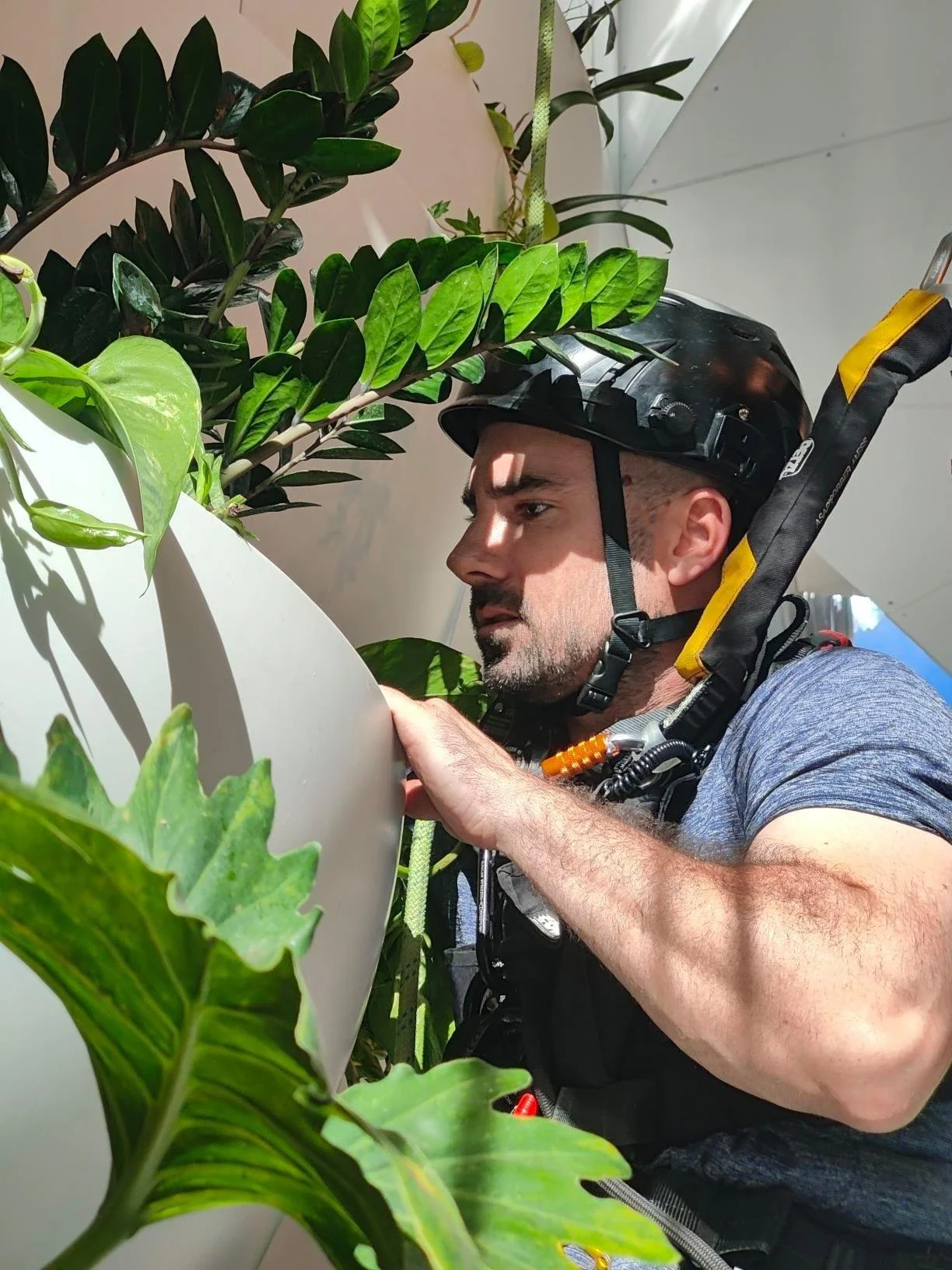 rope access building maintenance