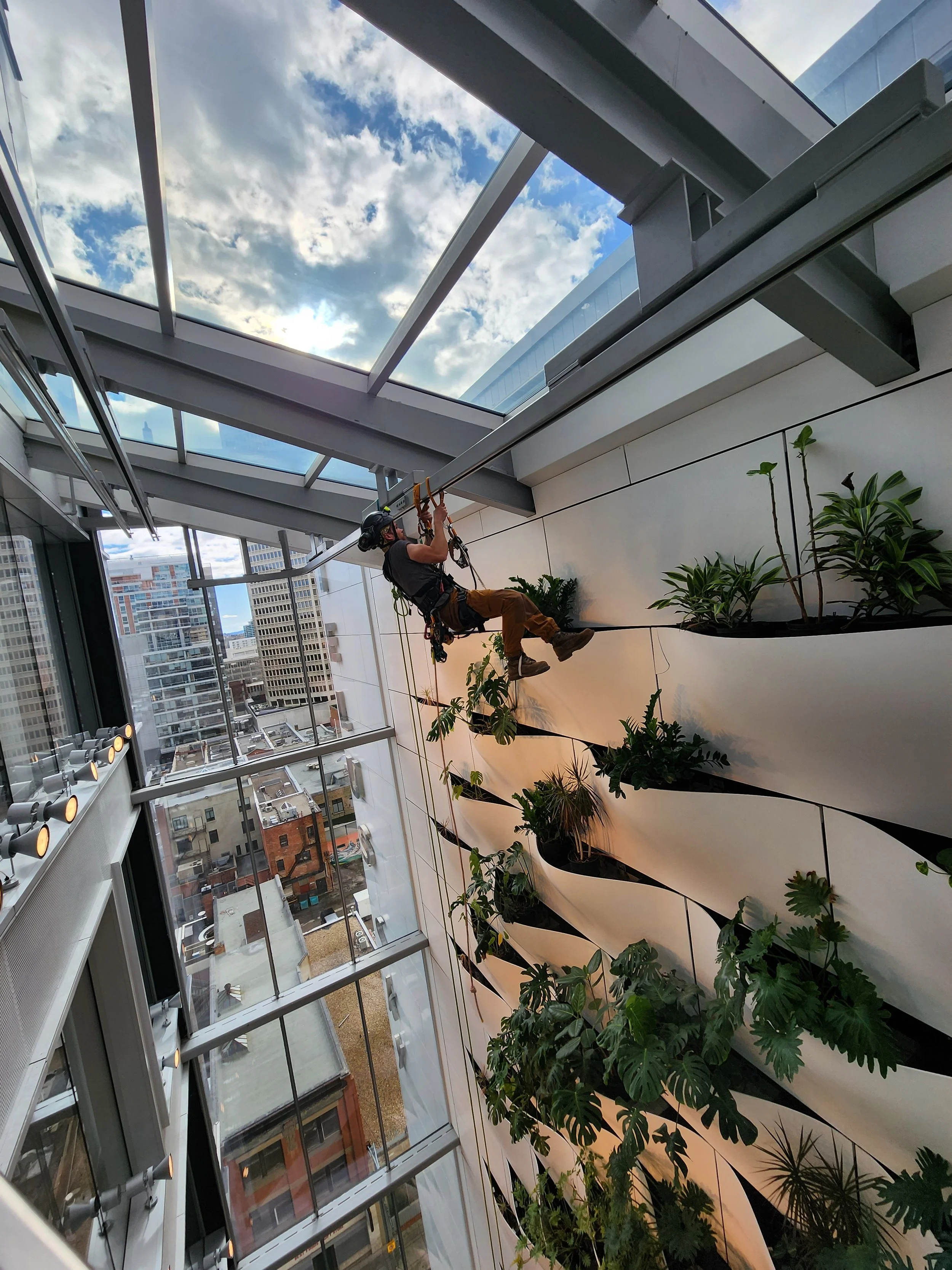 rope access building maintenance