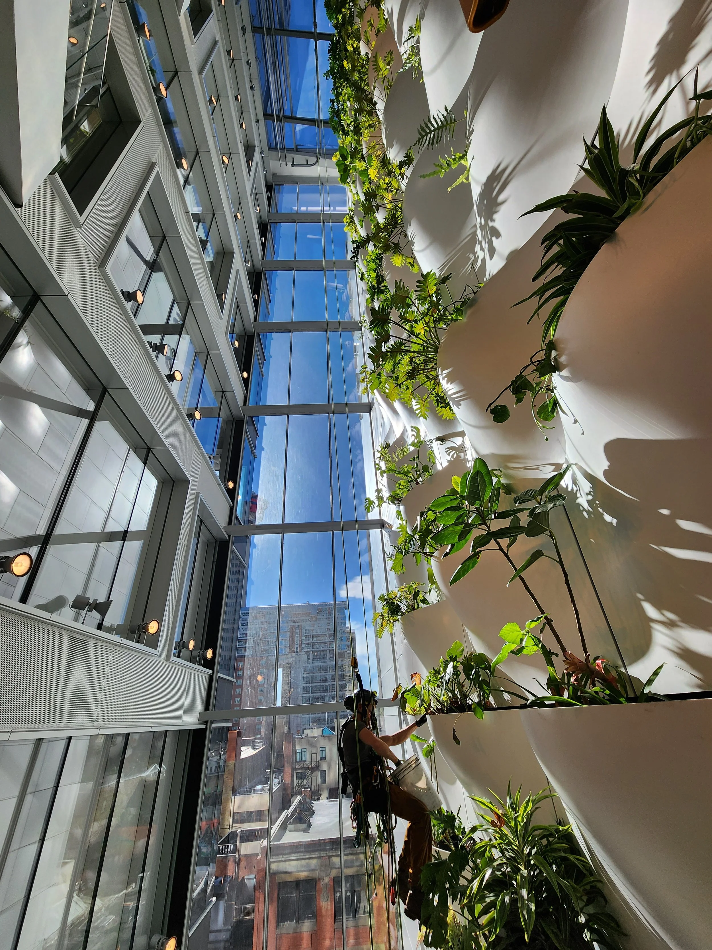 rope access building maintenance