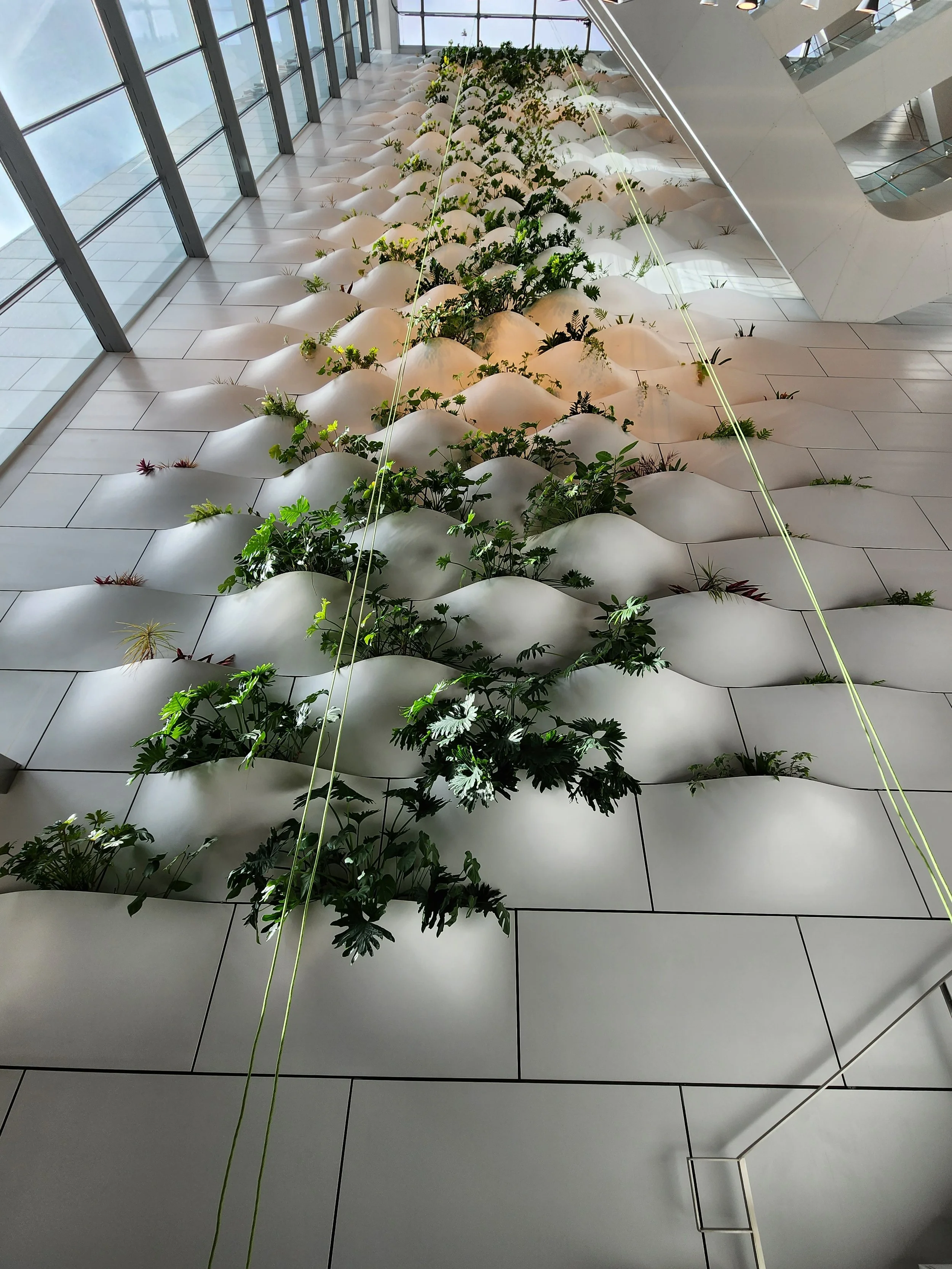 rope access building maintenance