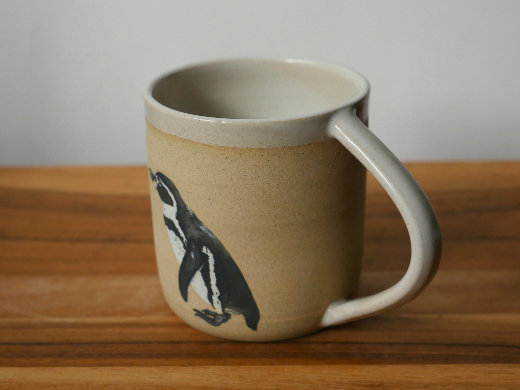 Humboldt Penguin 3.png