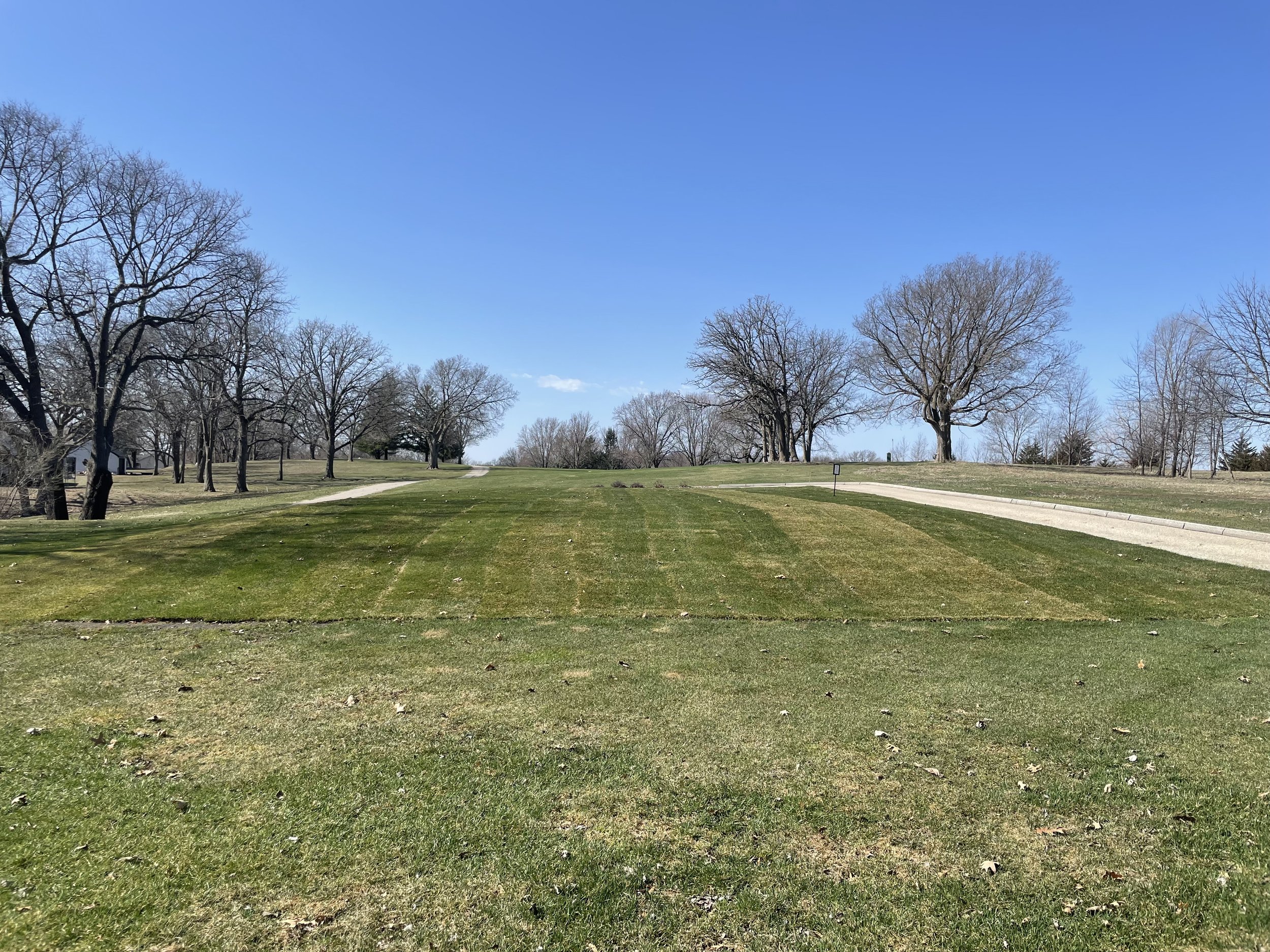 Hole 6 Post Sod 4.14.2025