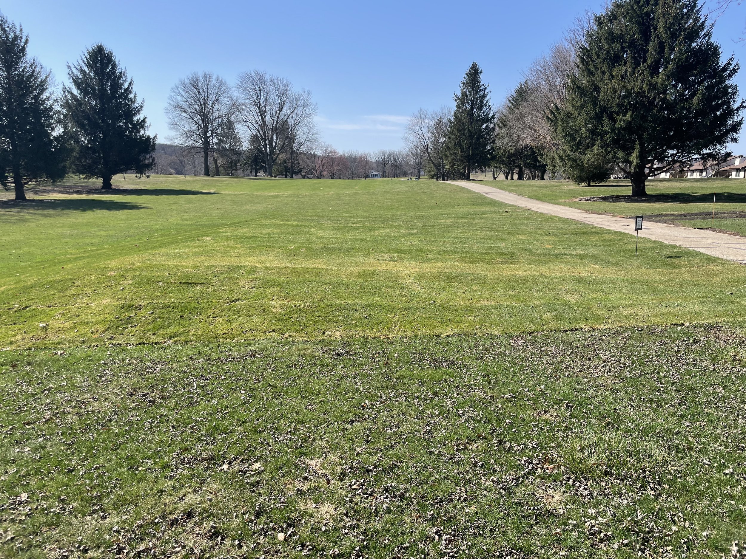 Hole 5 Post Sod 4.14.2025