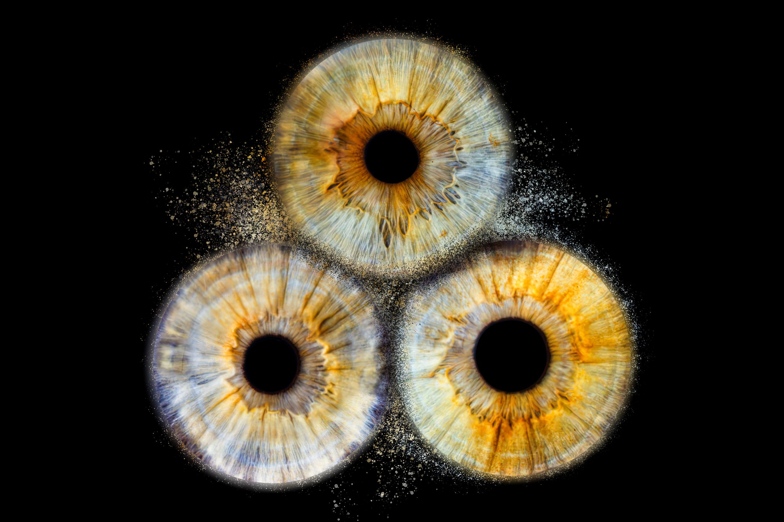 Iris trio Léonie Anouk Hélène.jpg