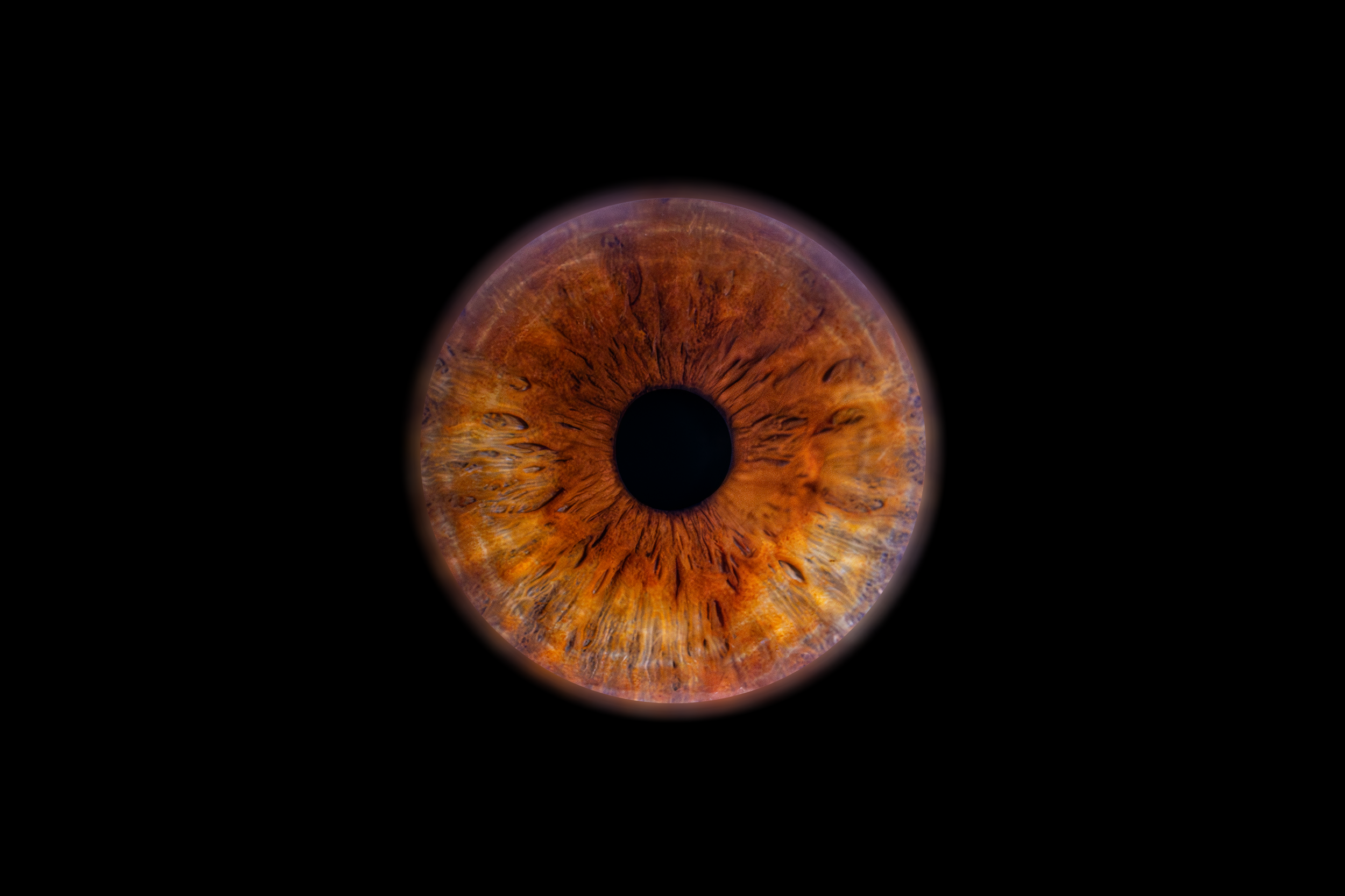 Iris Fifi.png