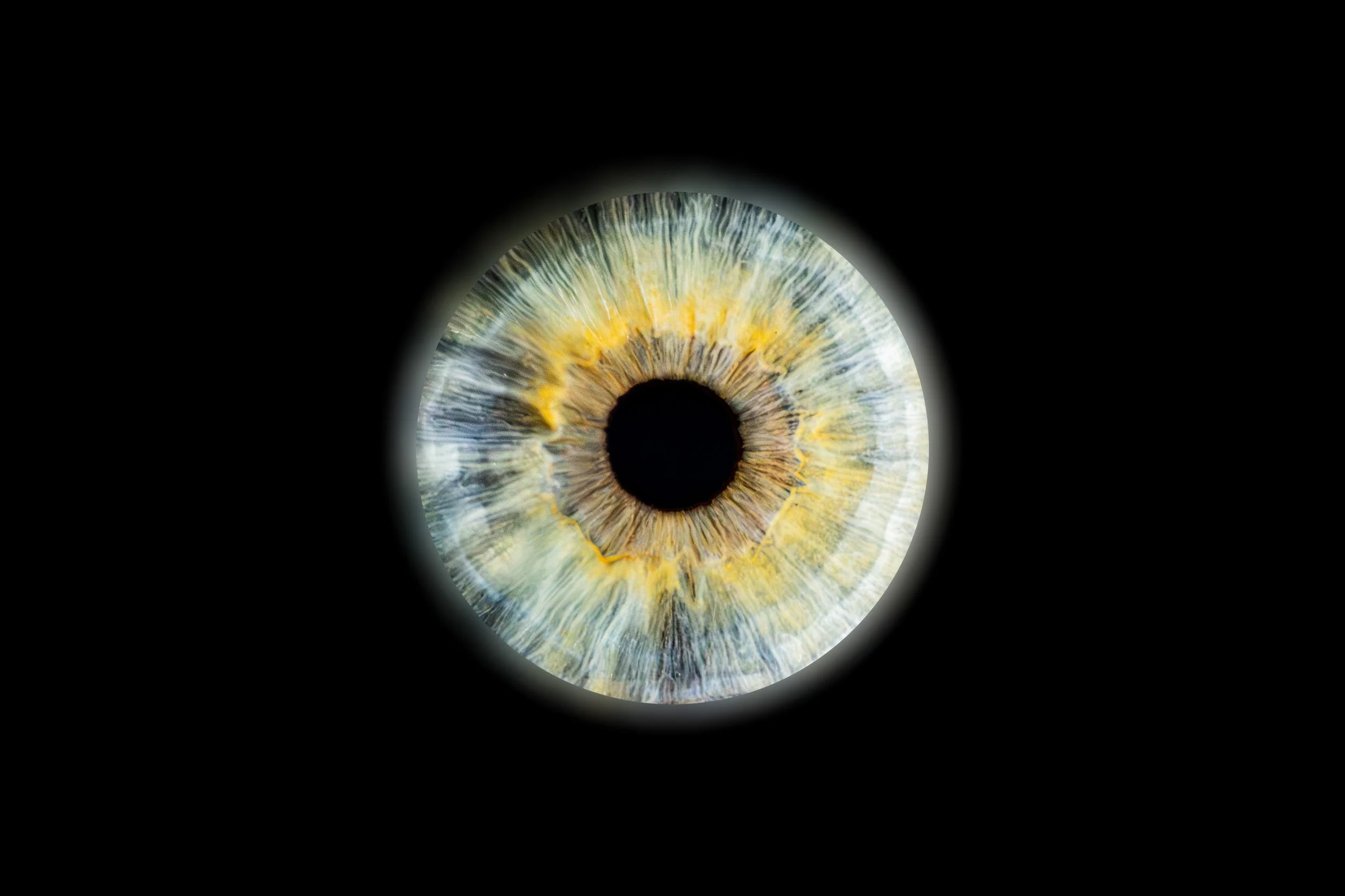 Iris Anais.jpg