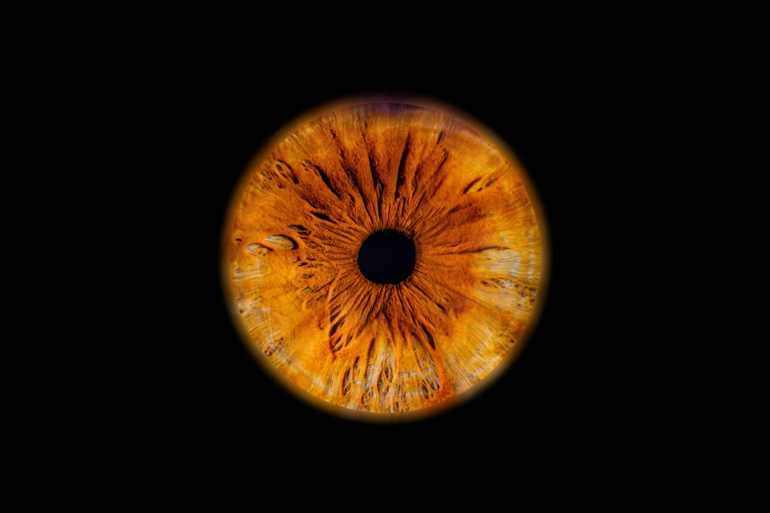 Iris Soucours 1.jpg