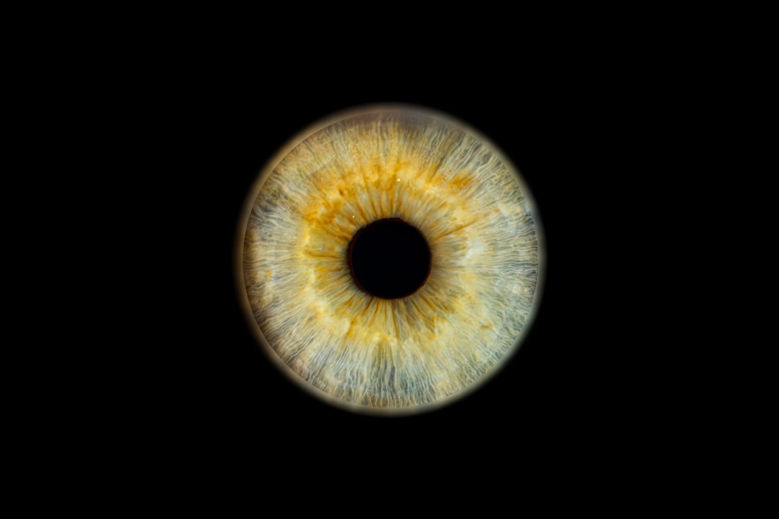 Iris Pierre Jean 1.jpg