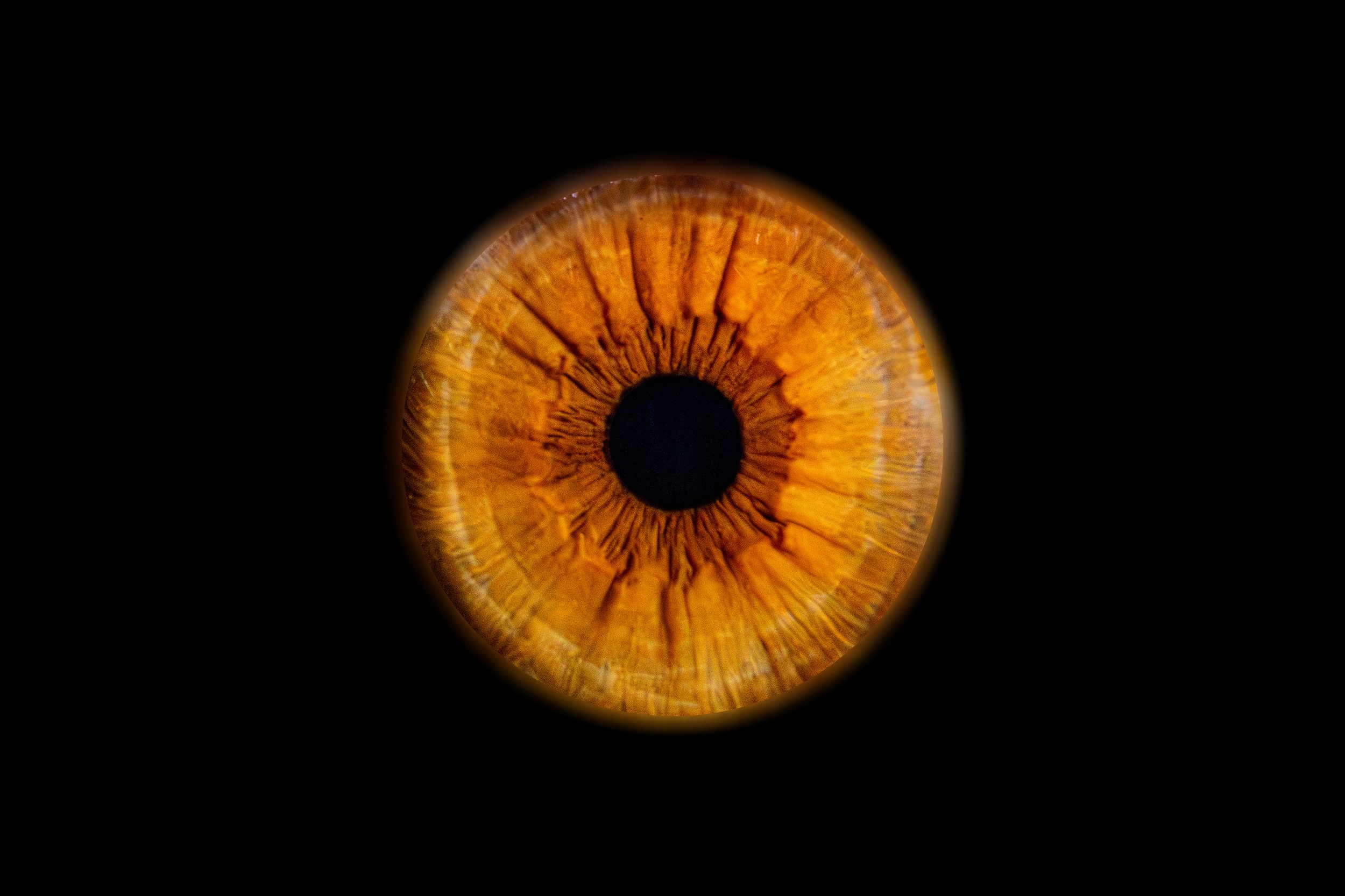 Iris Maud.jpg