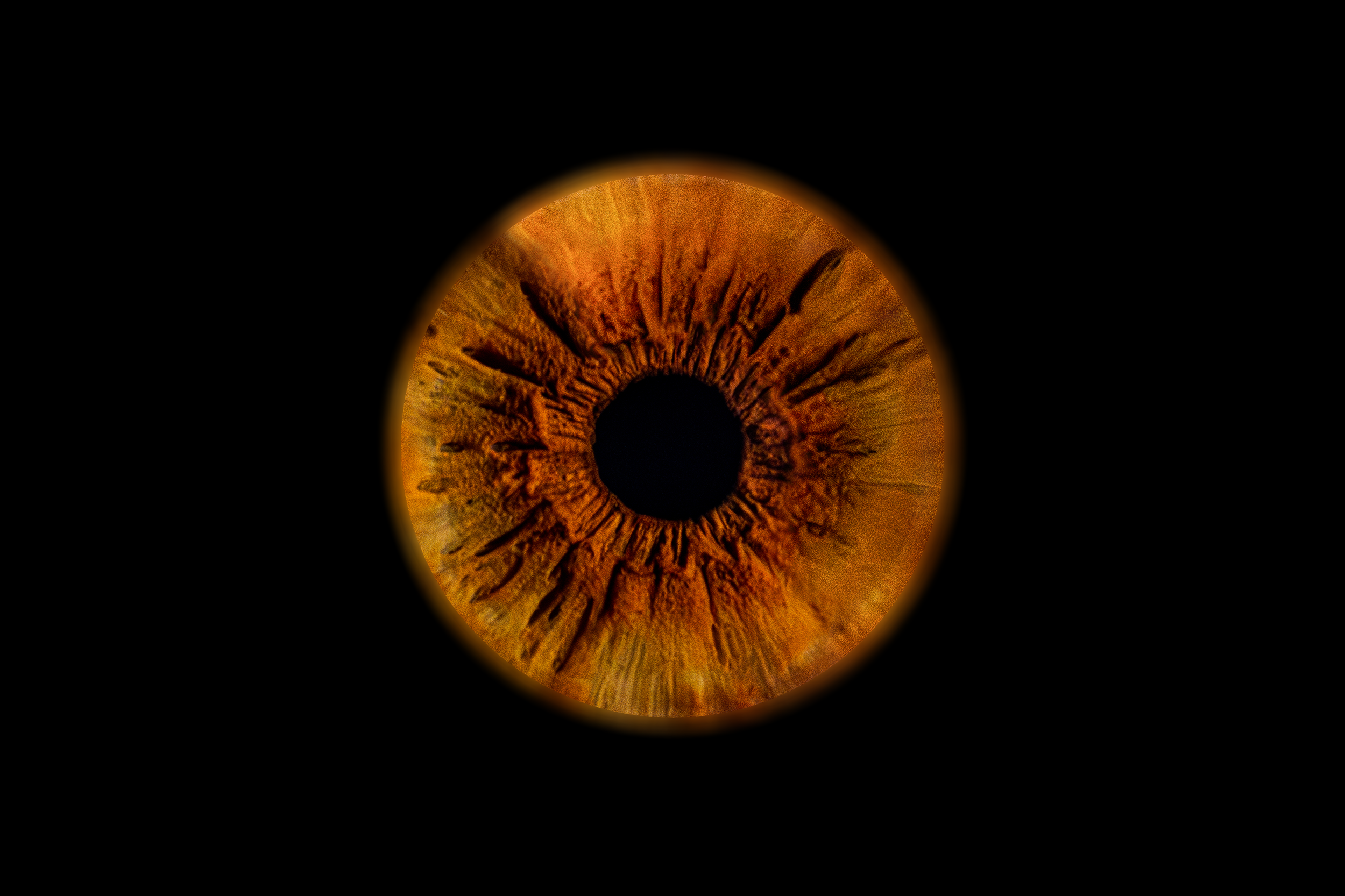 Iris Hakim.png