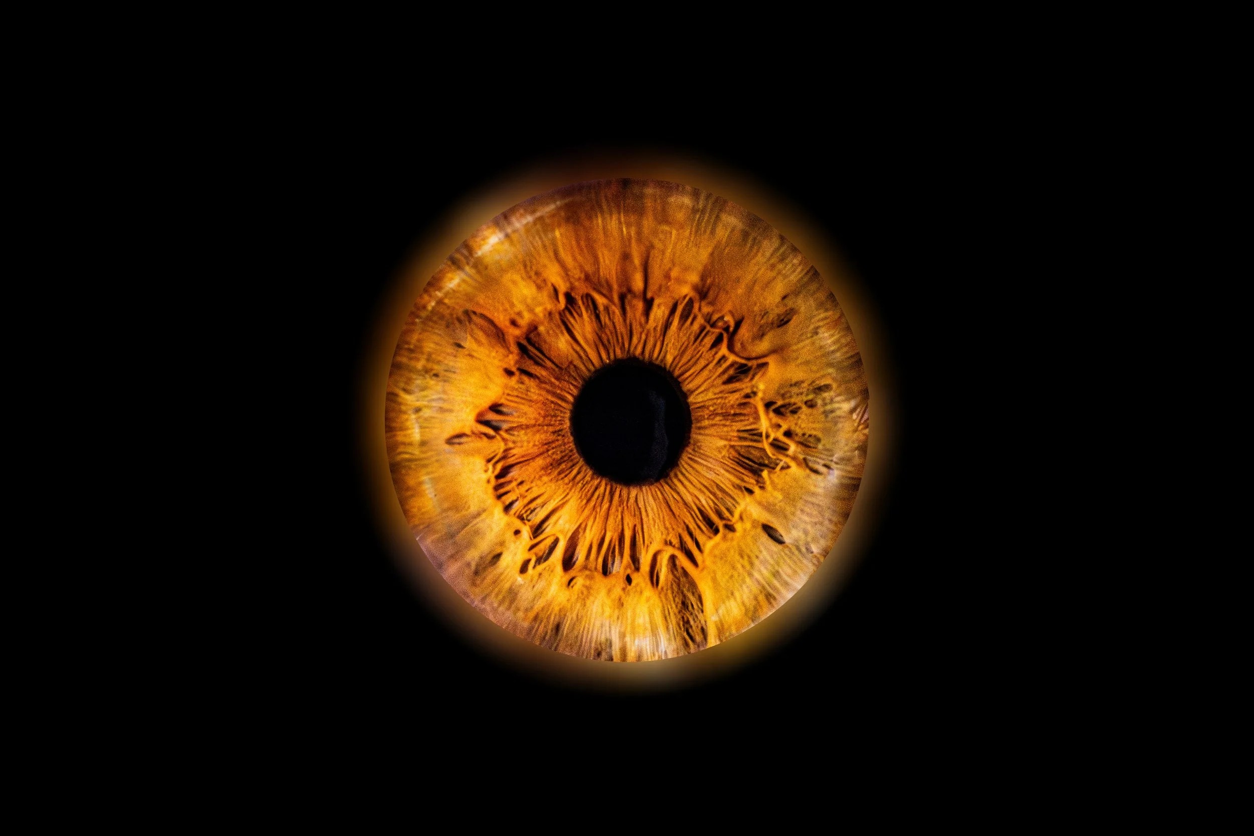 Iris Meline.jpg