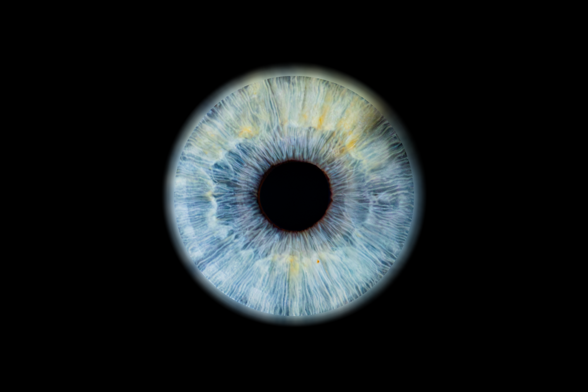 Iris Antoine.png