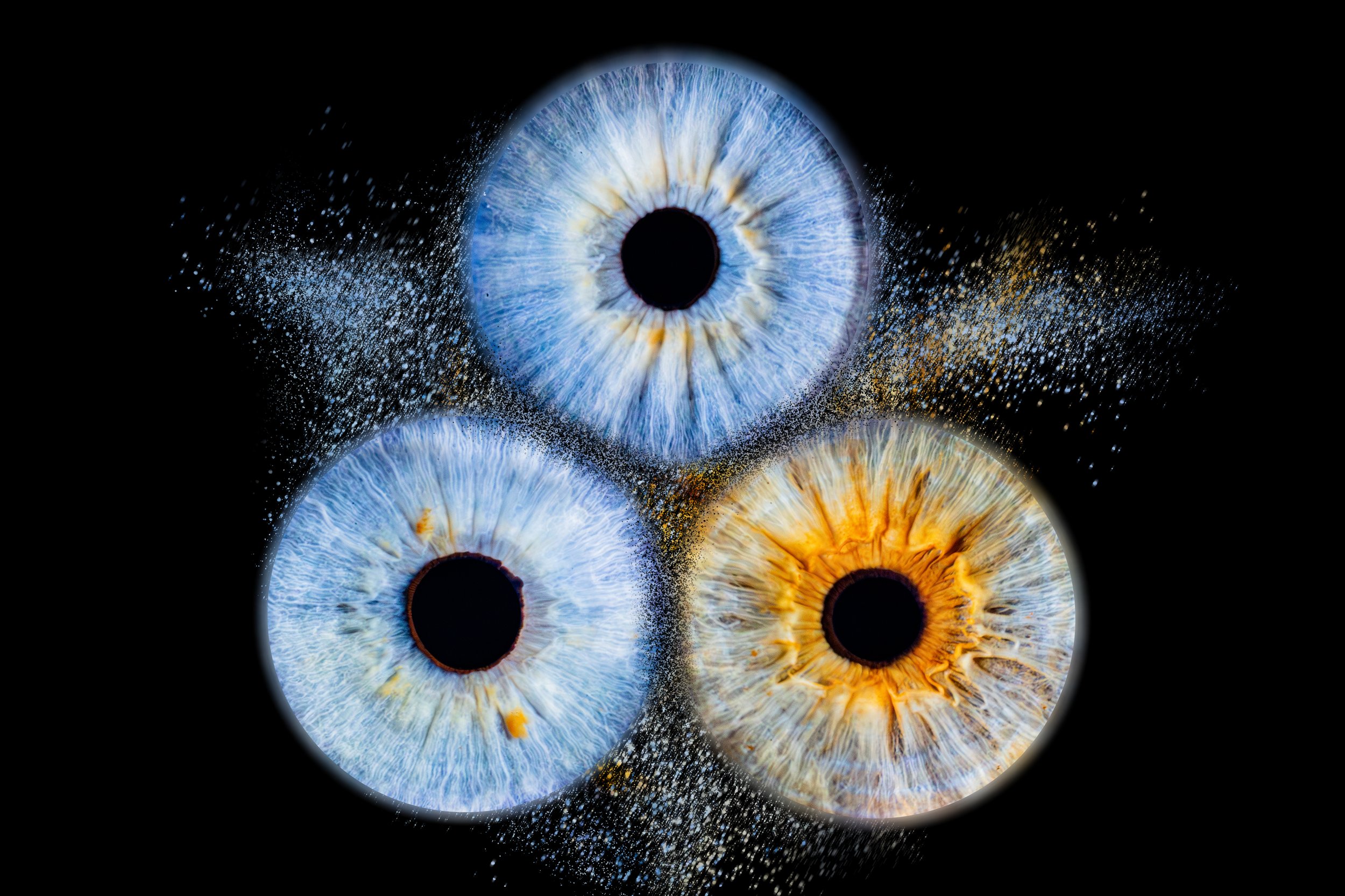 Anna Fredo Gabriel Collision V2.jpg