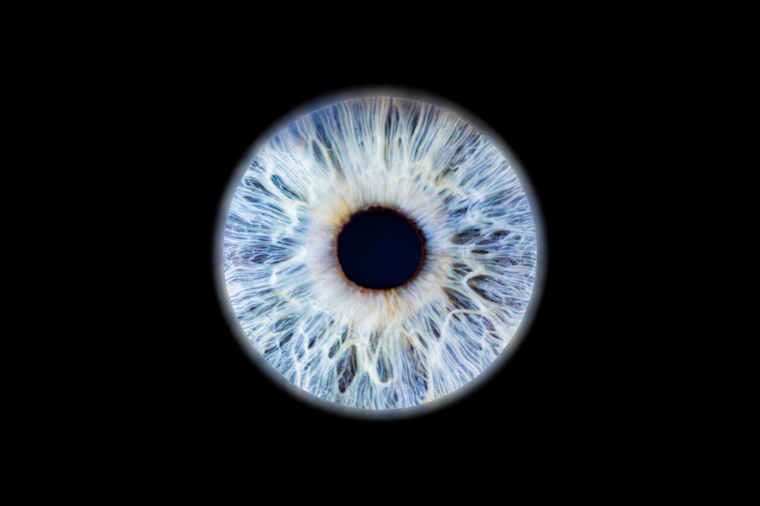 Iris Oscar.png