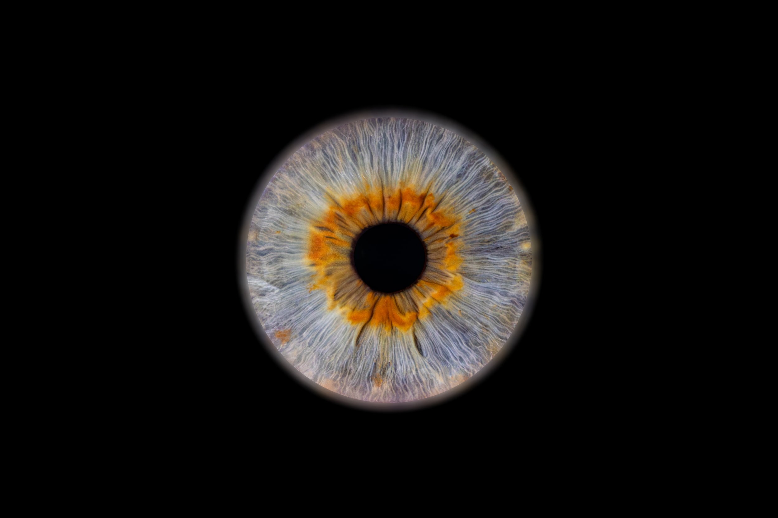 Iris Fabien 2.jpg