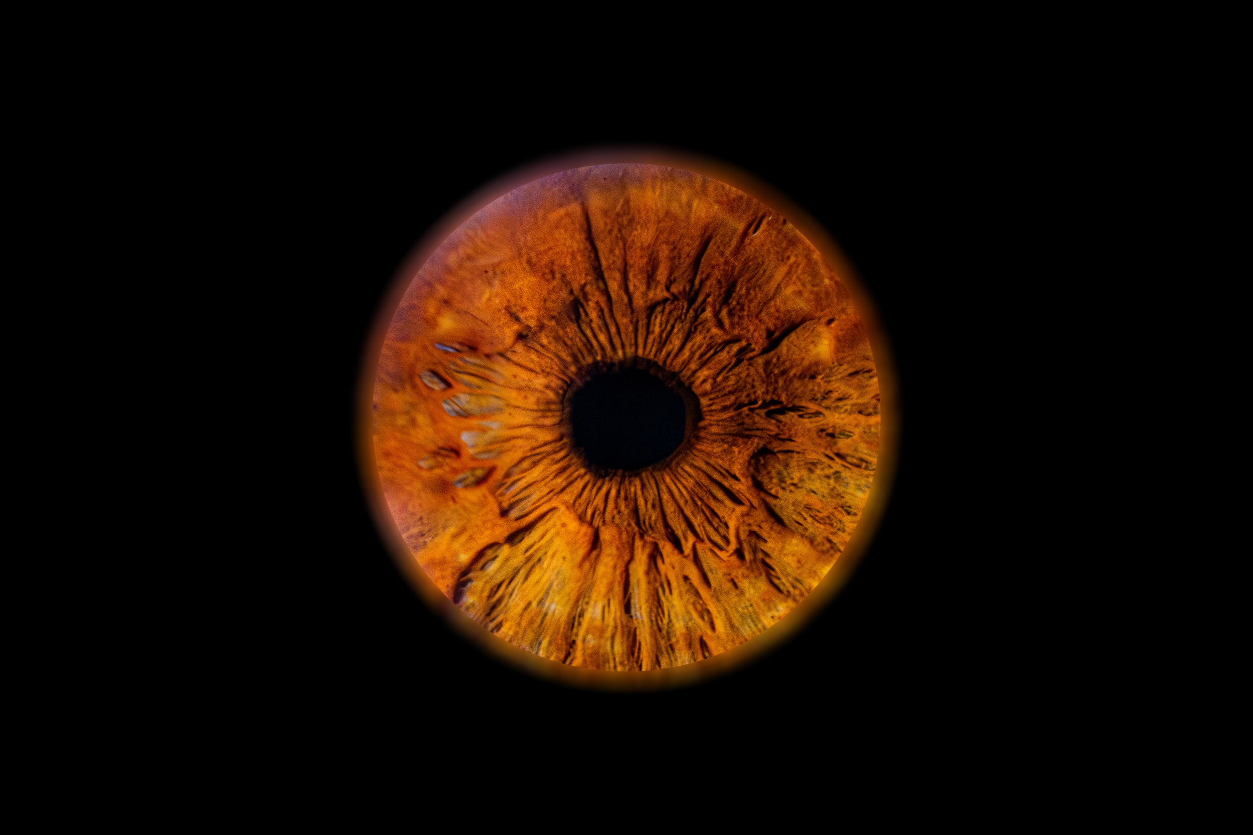 Iris Mélissa.png