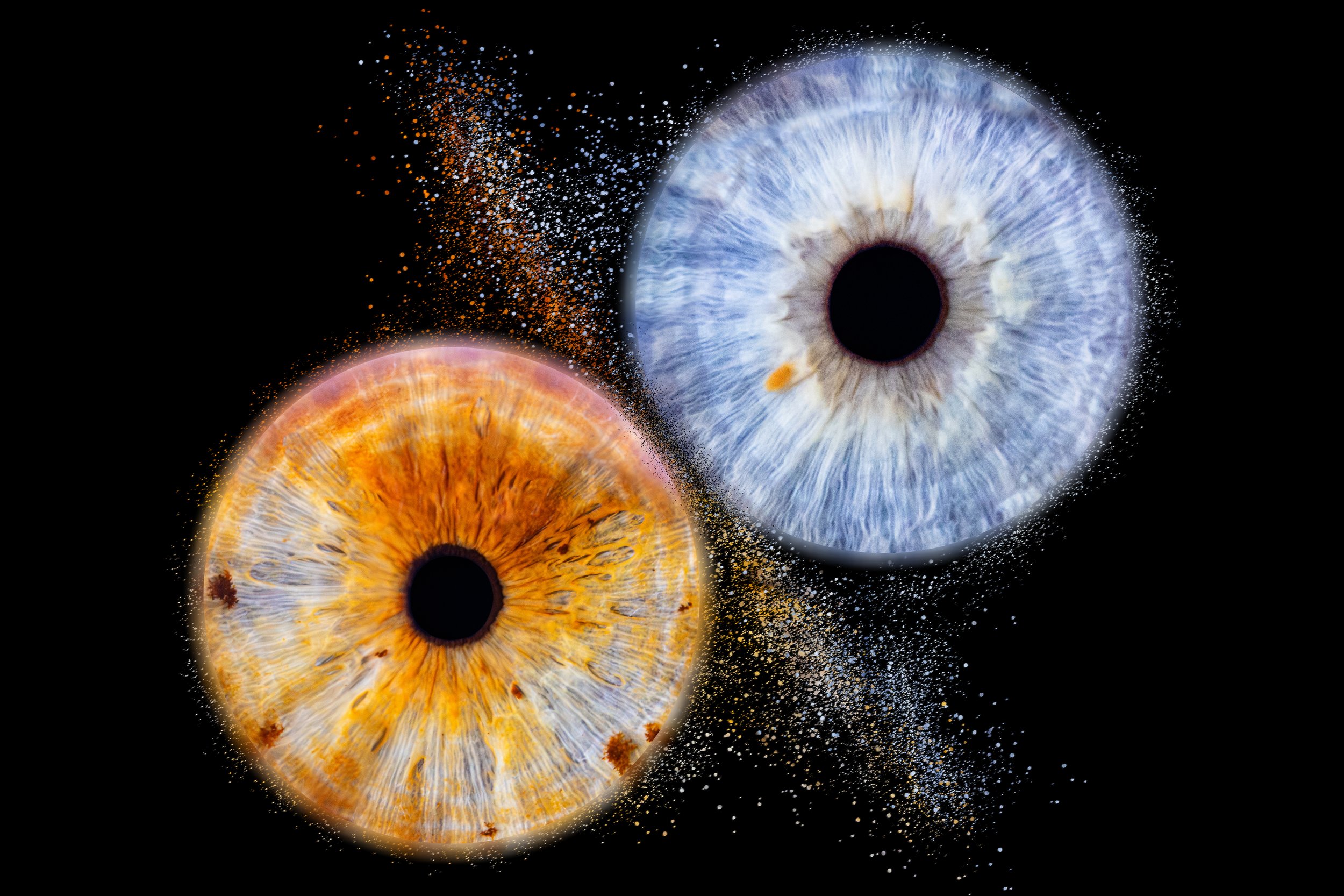 Duo Agnès Christophe Collision.jpg