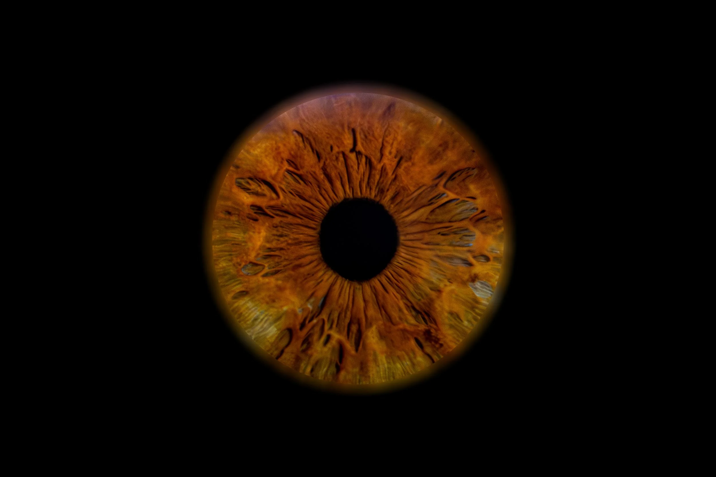 Iris David.jpg