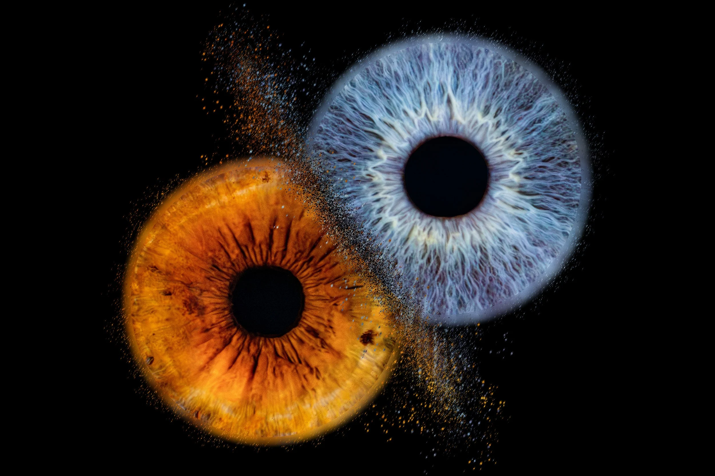 Olga Fabien collision fx.jpg