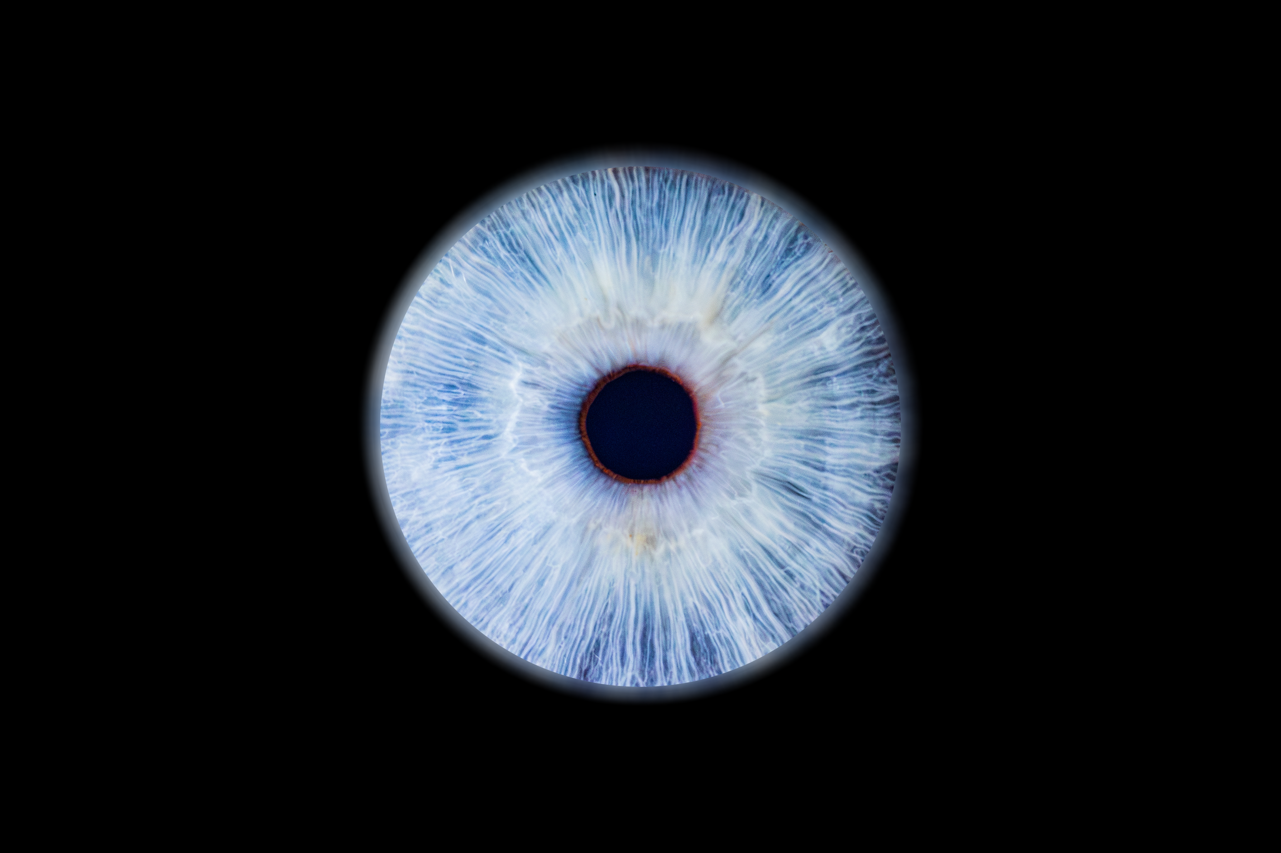 Iris Hugo.png