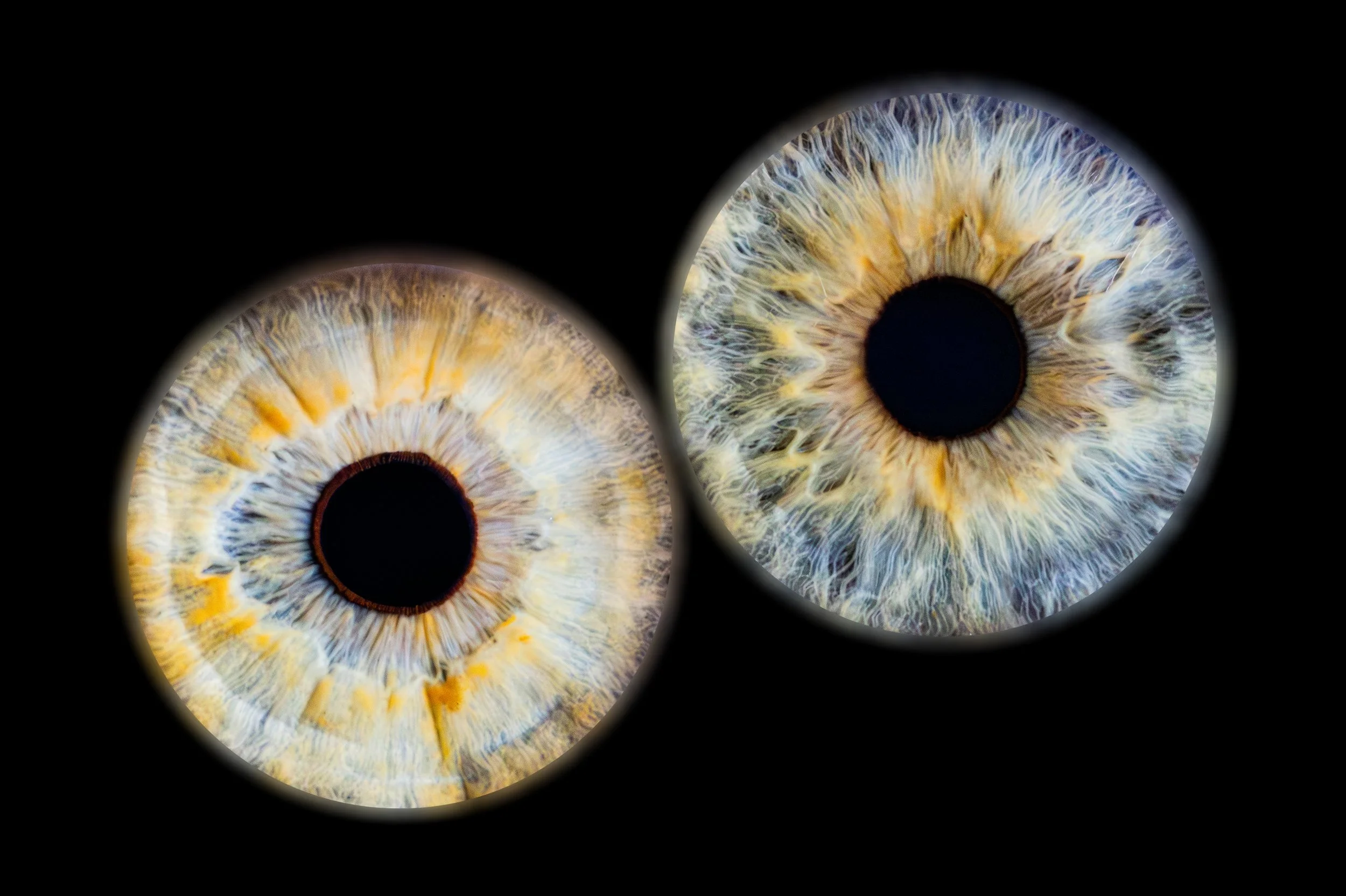 Duo Rachel Guillaume.jpg