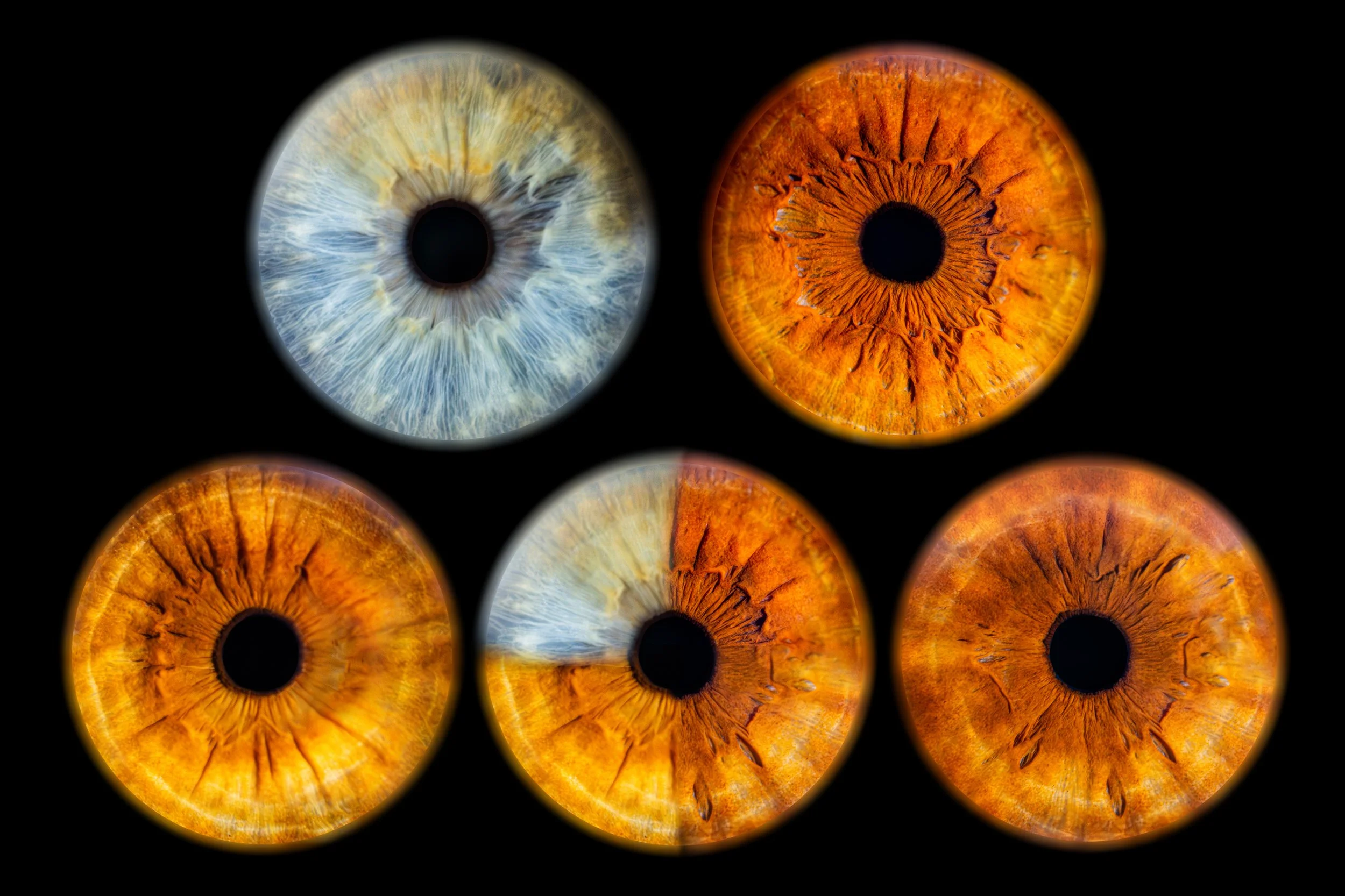 Quatuor Karim Axele Cathy Jordan.jpg