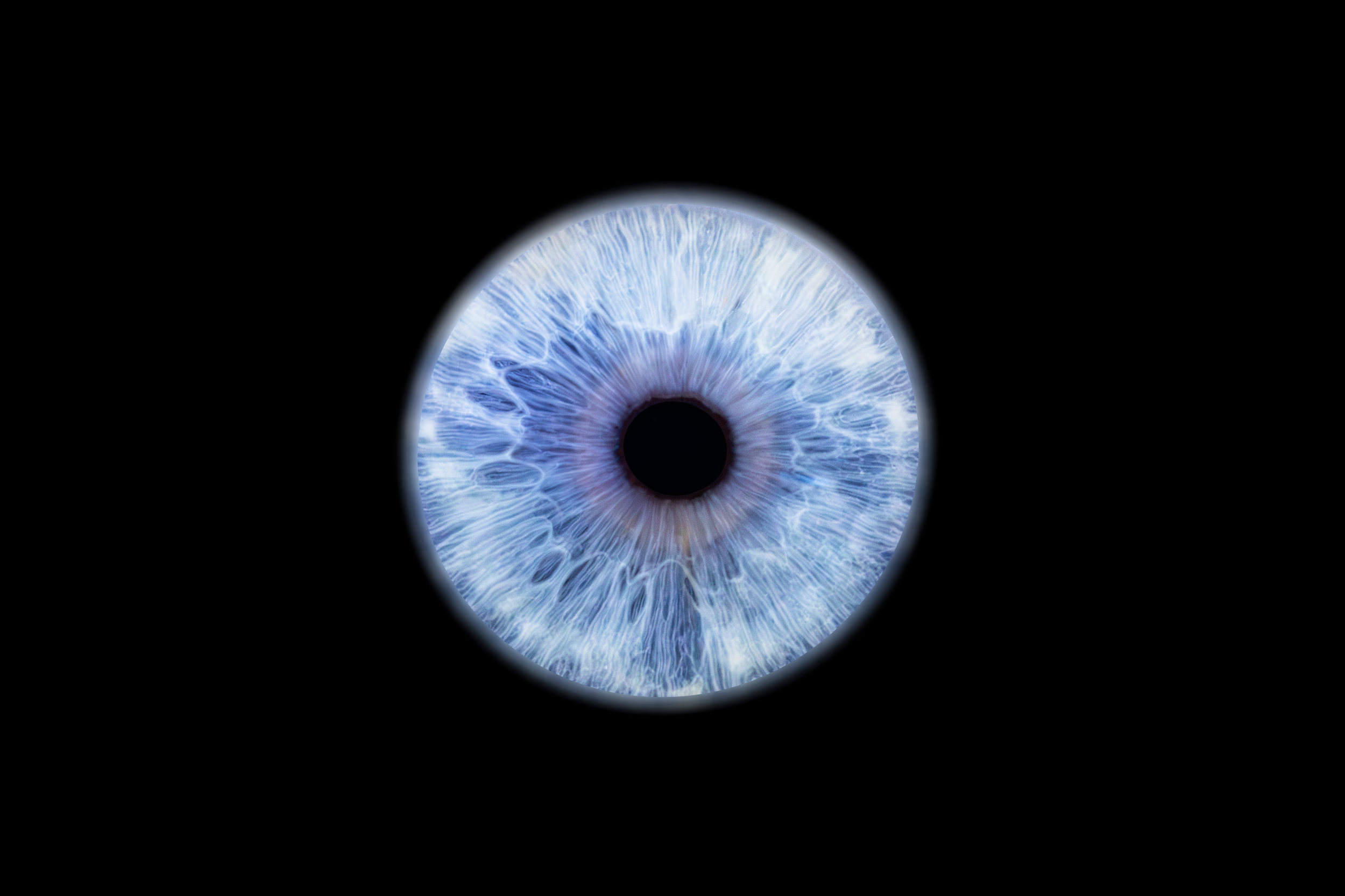 Iris Mélodie.png