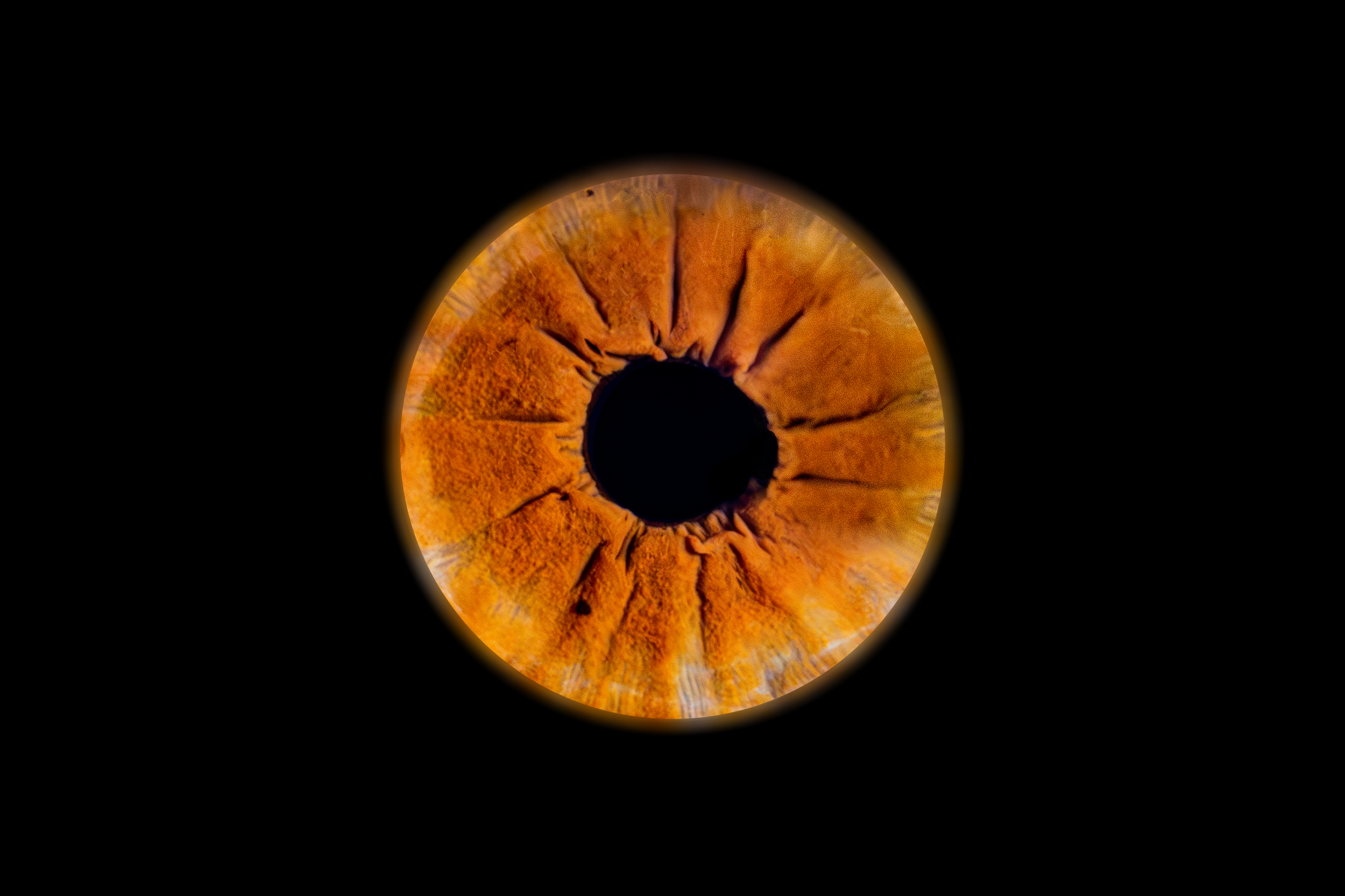 Iris Mathéo.png