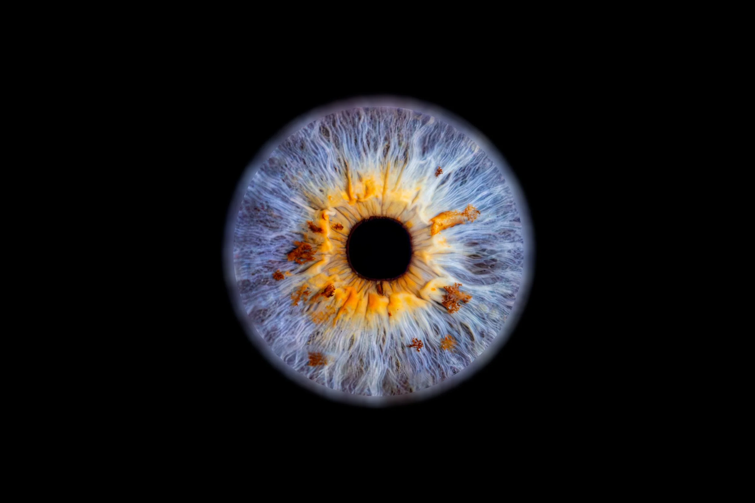 Iris Chloé.jpg