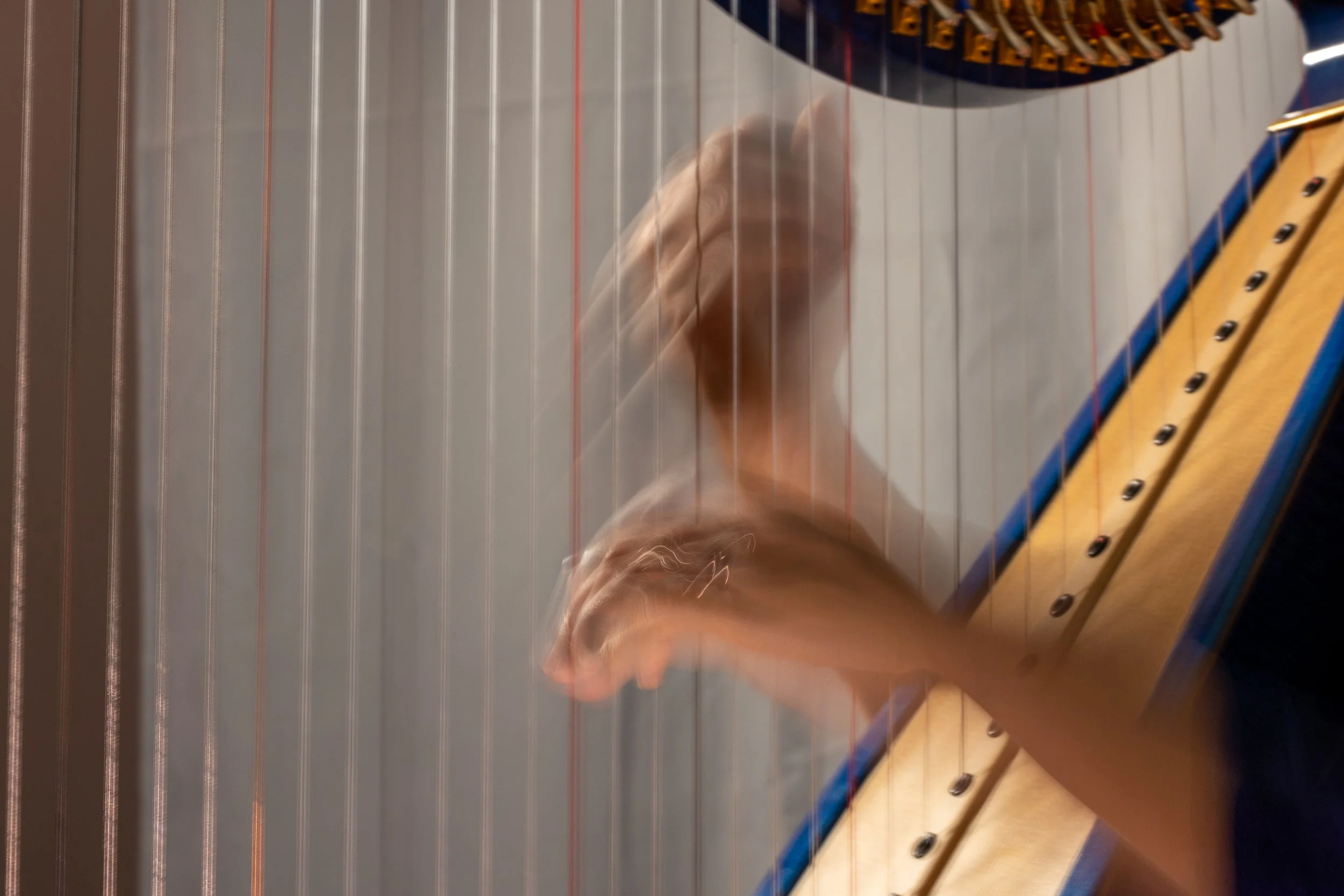 harpe-10.jpg