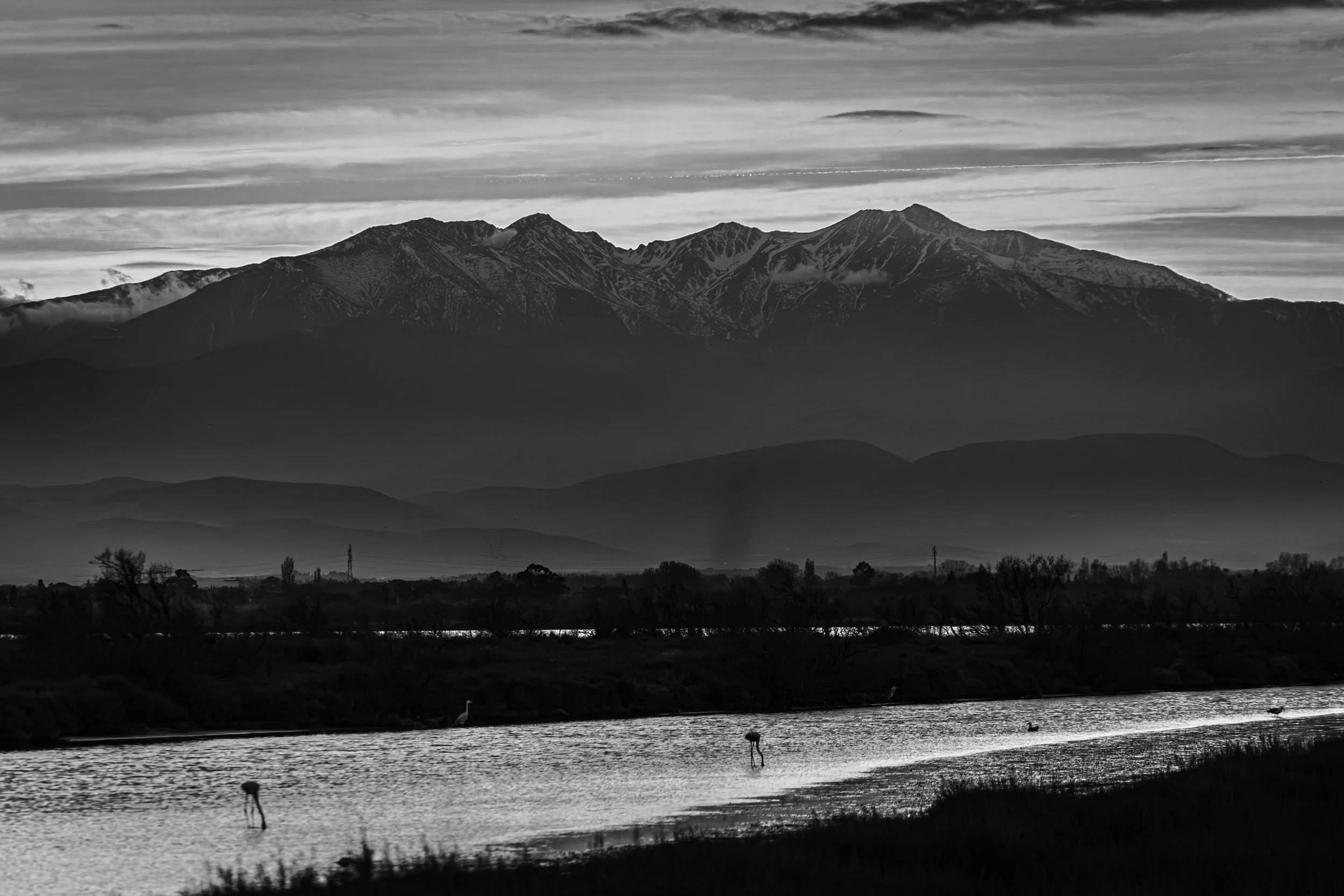 canigou-2.jpg