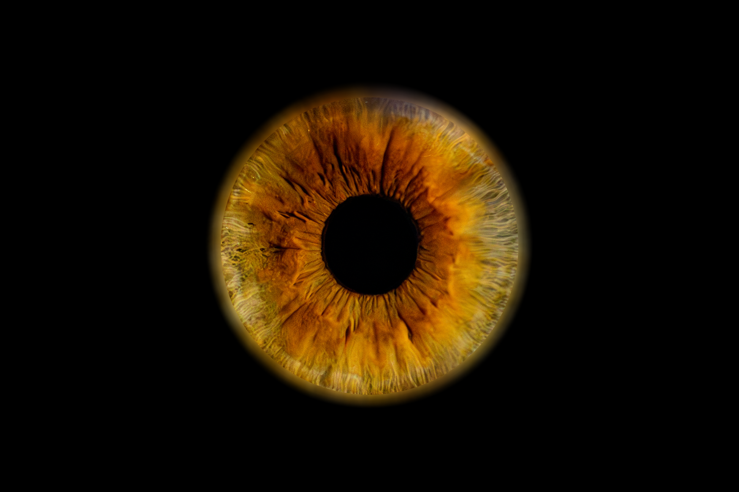 Iris Manon.png