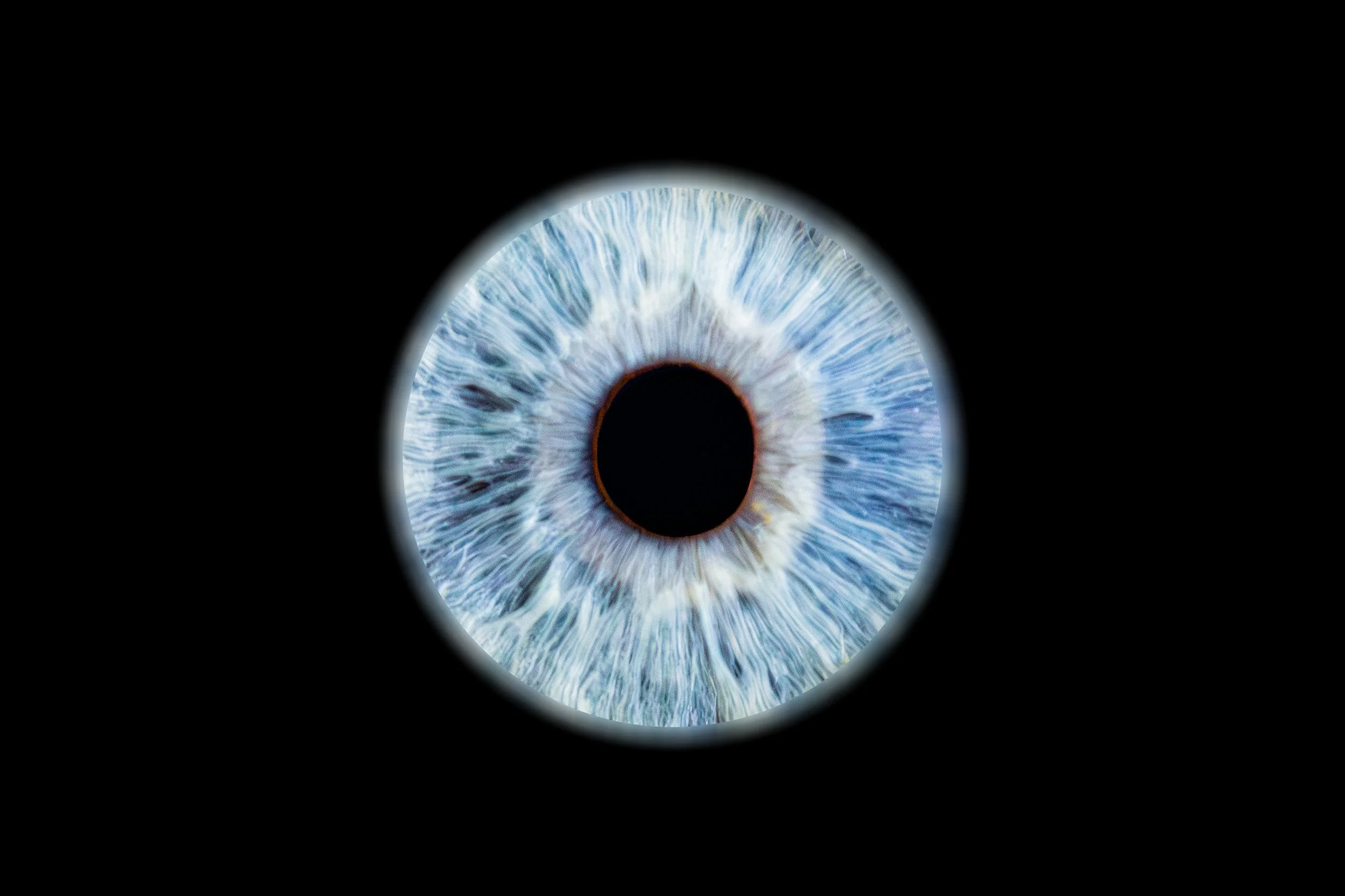 Iris Océane 3.jpg