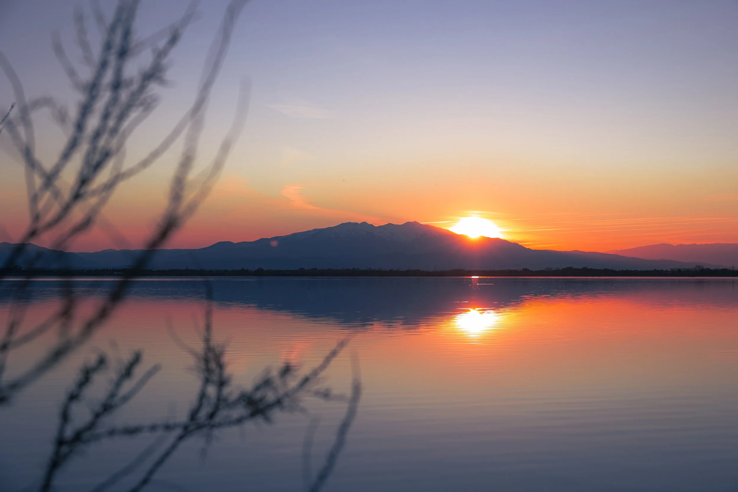 CanigouV2-2026 (11).jpg