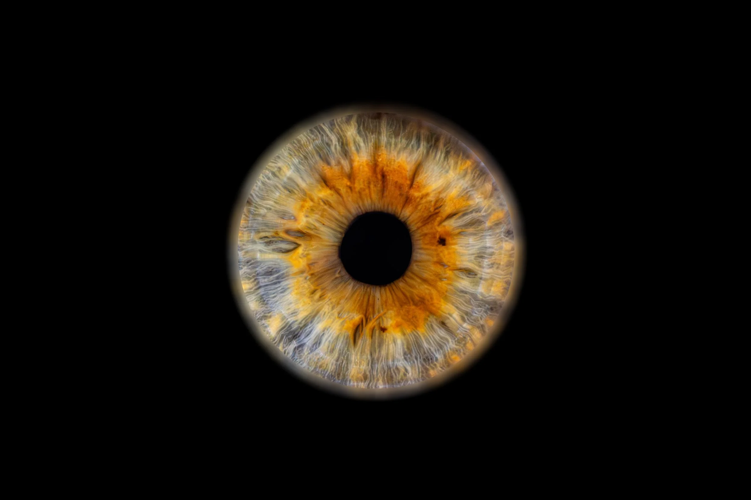 Iris Lyam.jpg