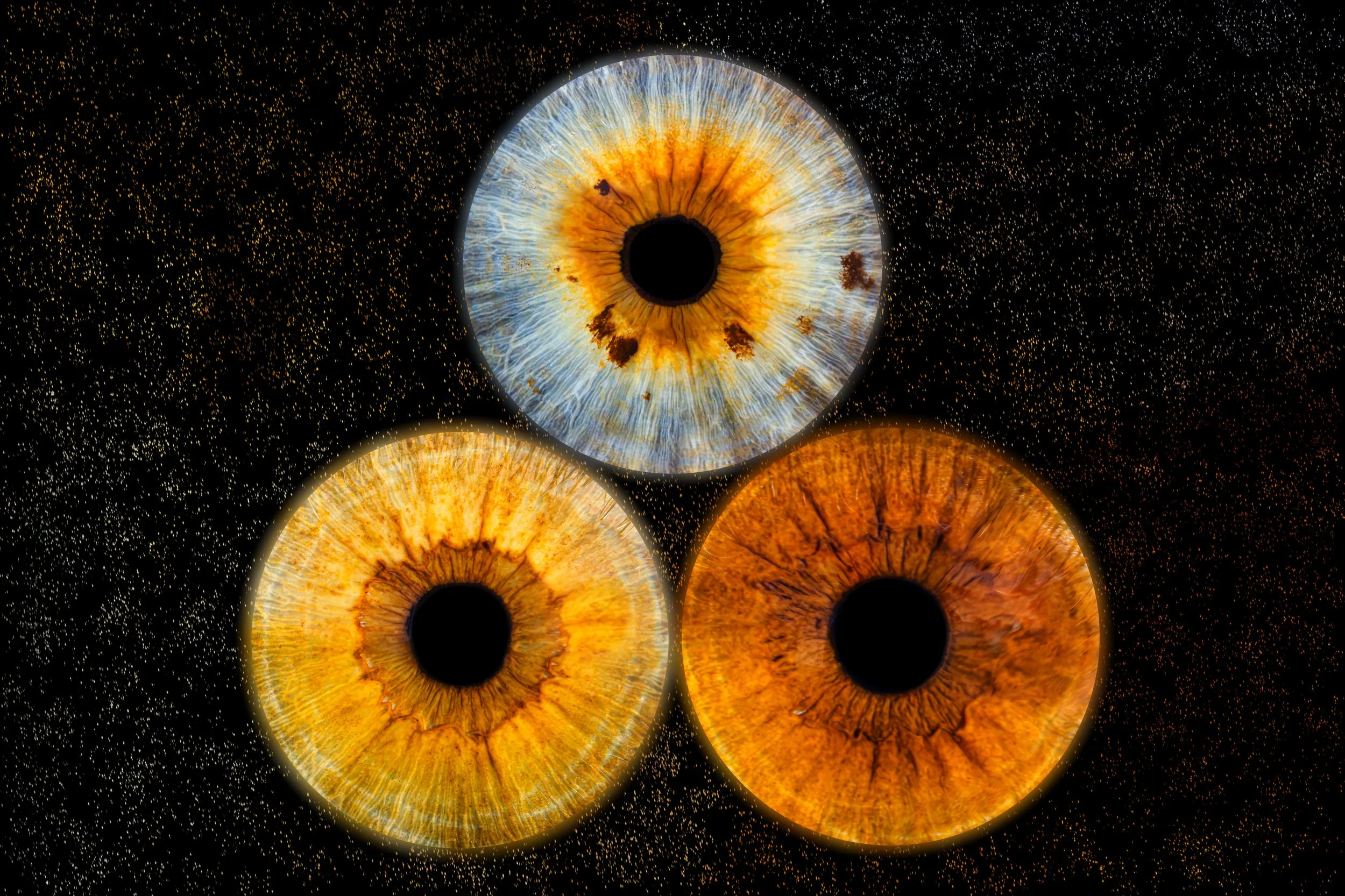 Trio Elodie Lola Maxence.jpg
