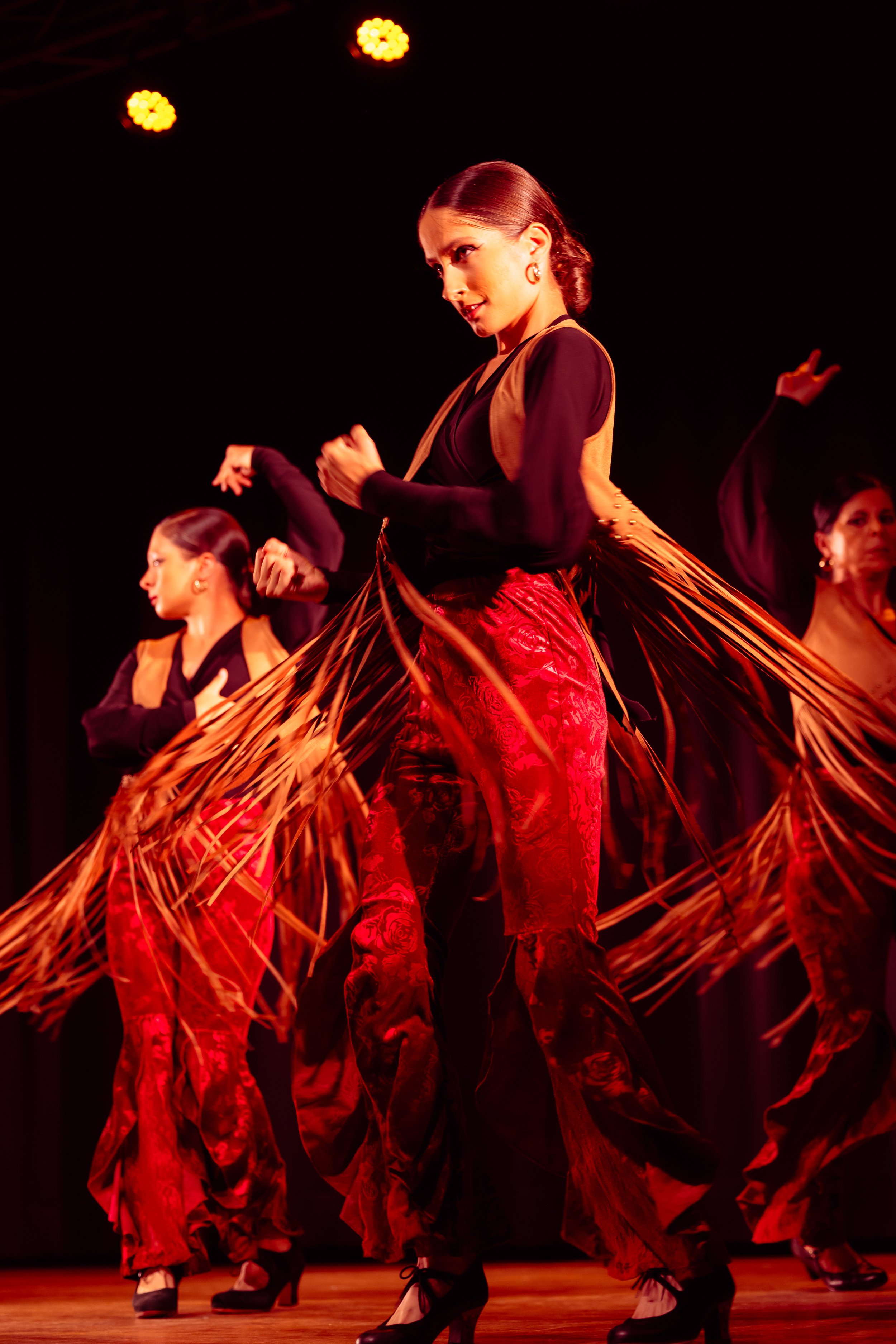Export-AssociationFlamenco-035.jpg