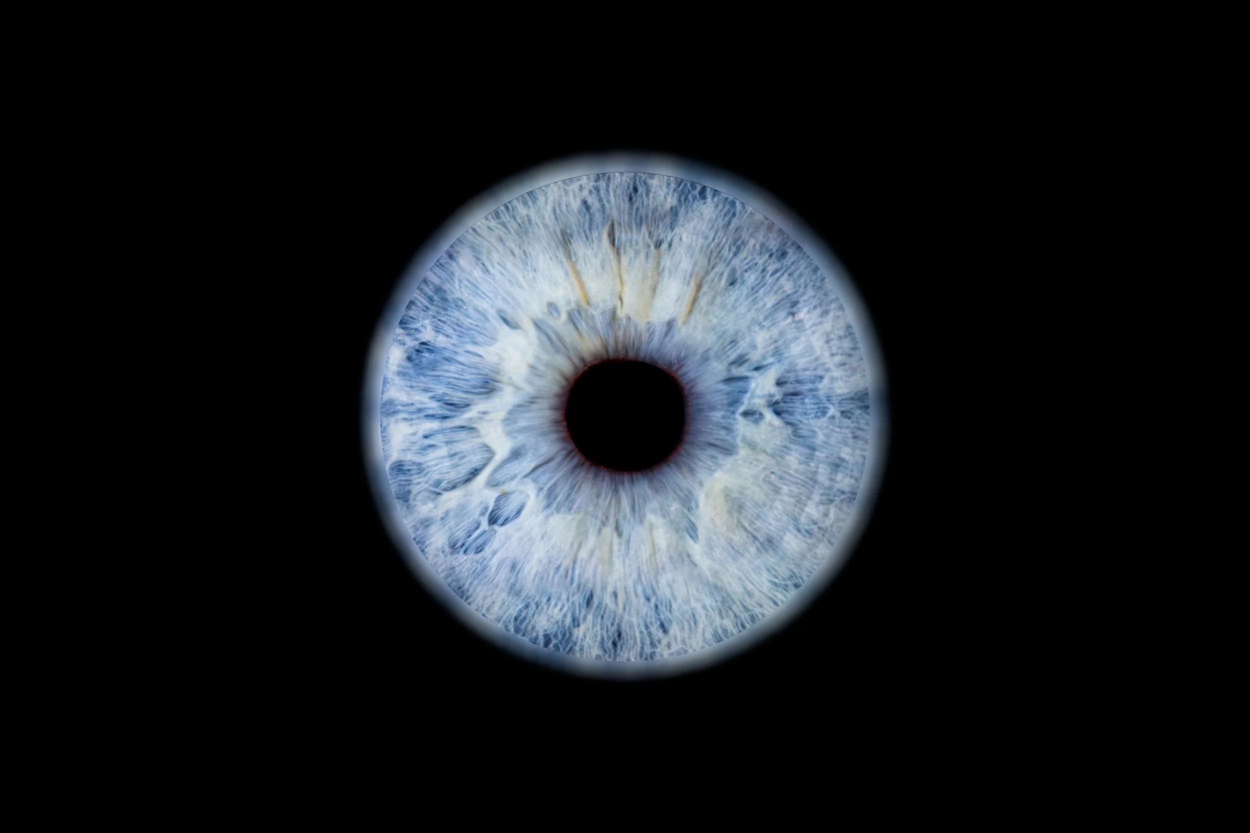 Iris Elodie.jpg