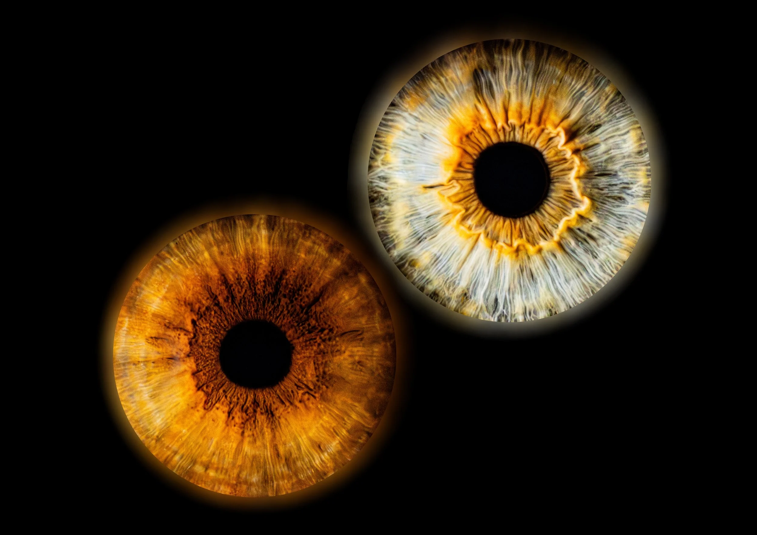 Duo Océane Océane v2.jpg