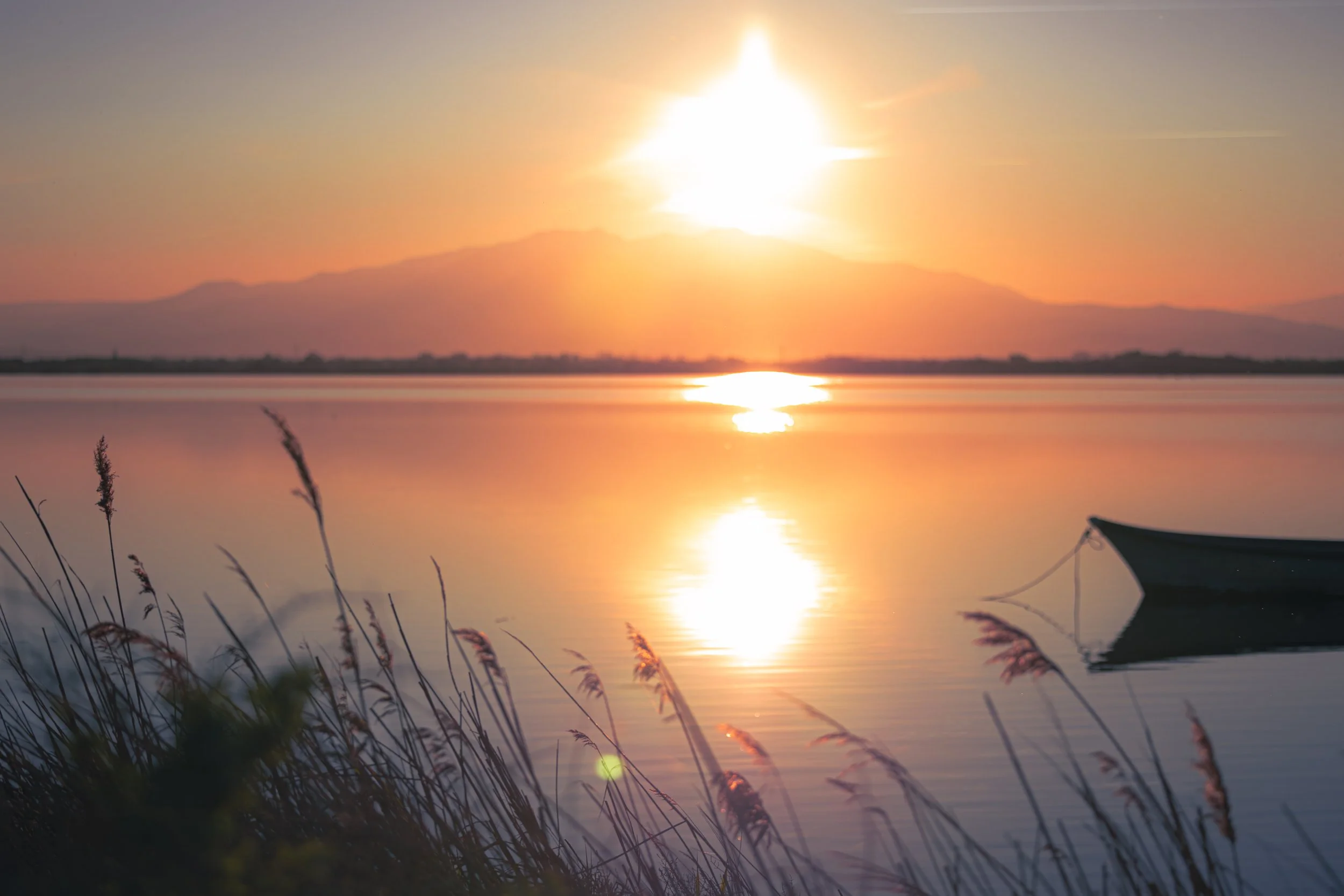 CanigouV2-2026 (1).jpg