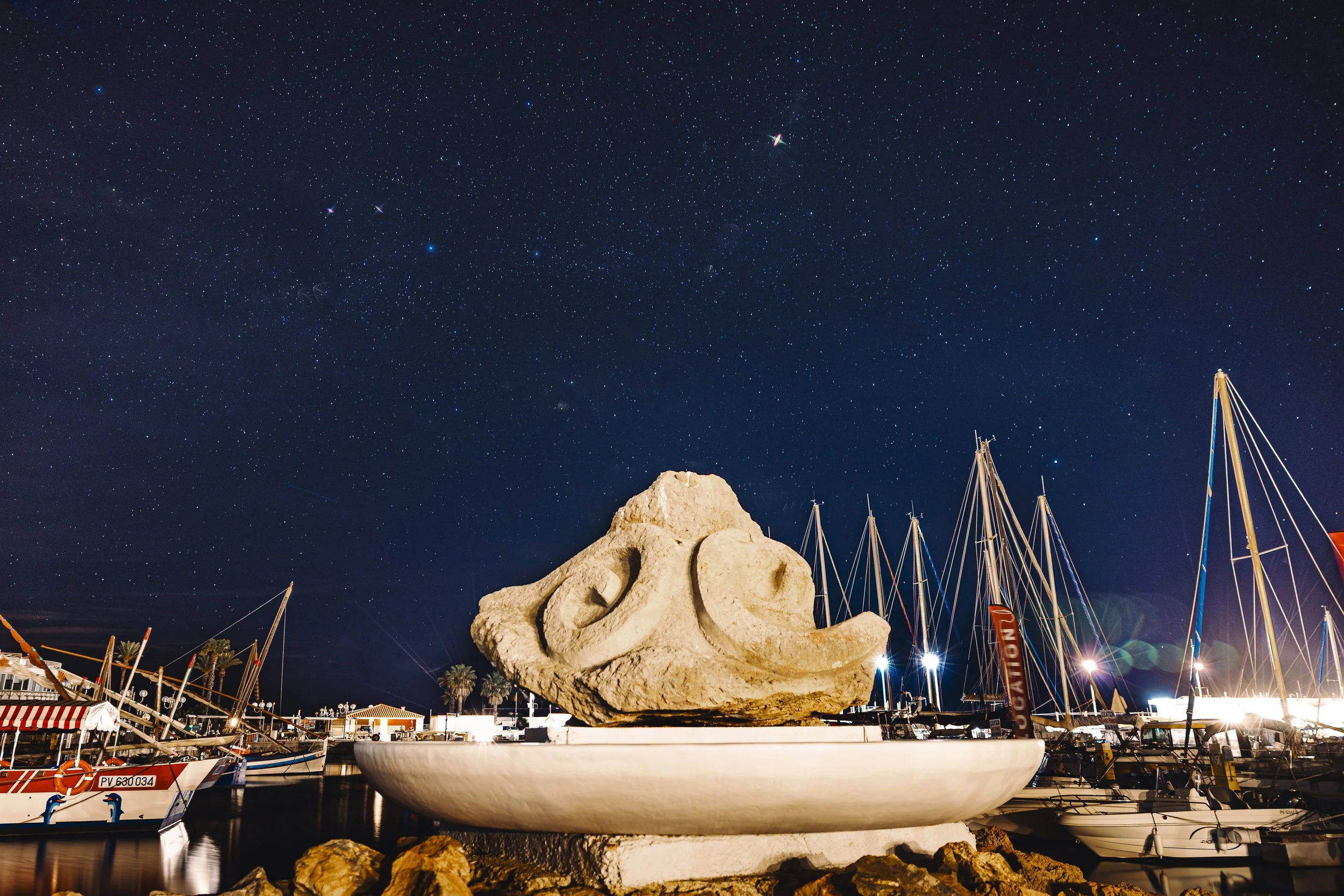 Logo Saint Cyprien Port.jpg