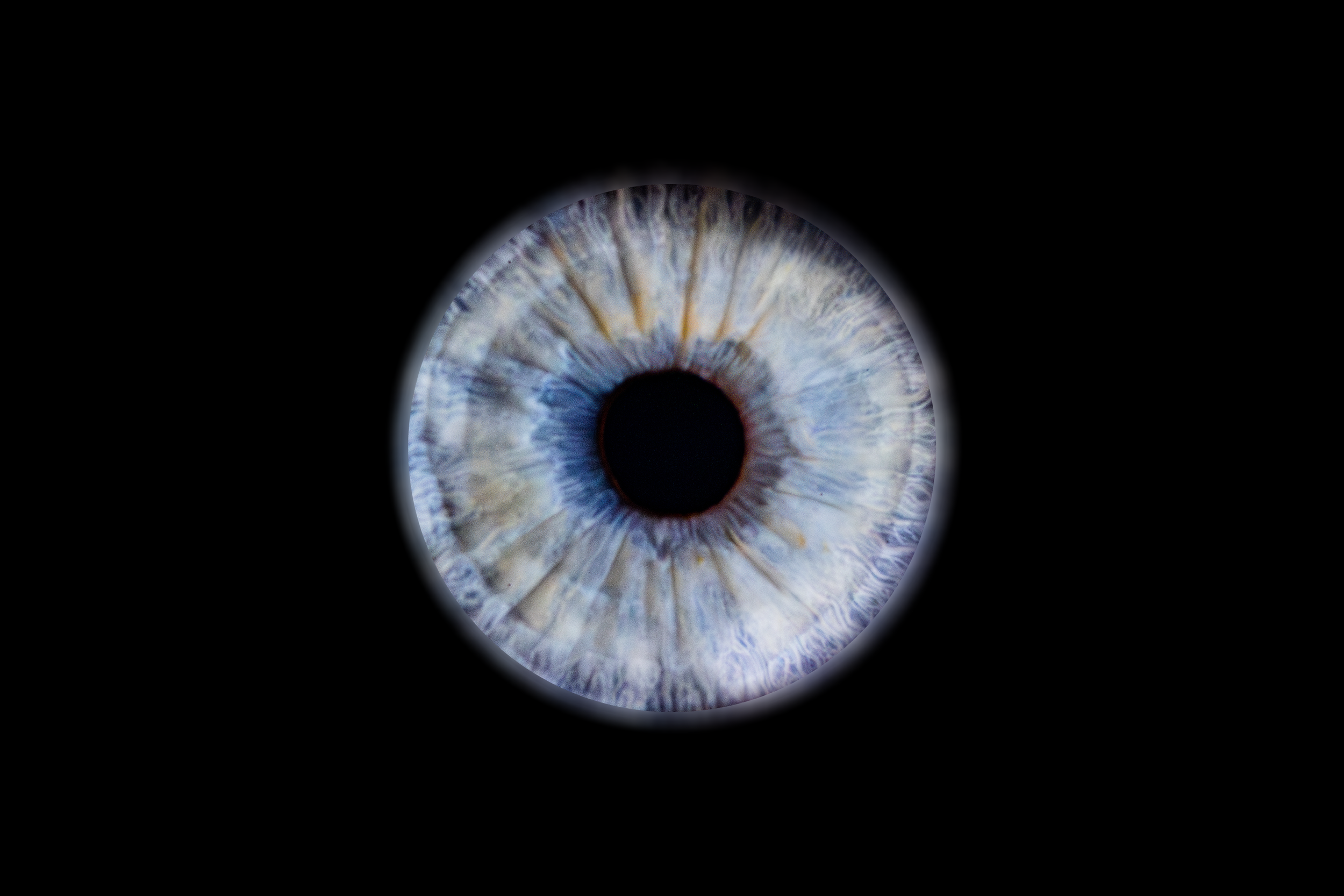 Iris Noéline.png