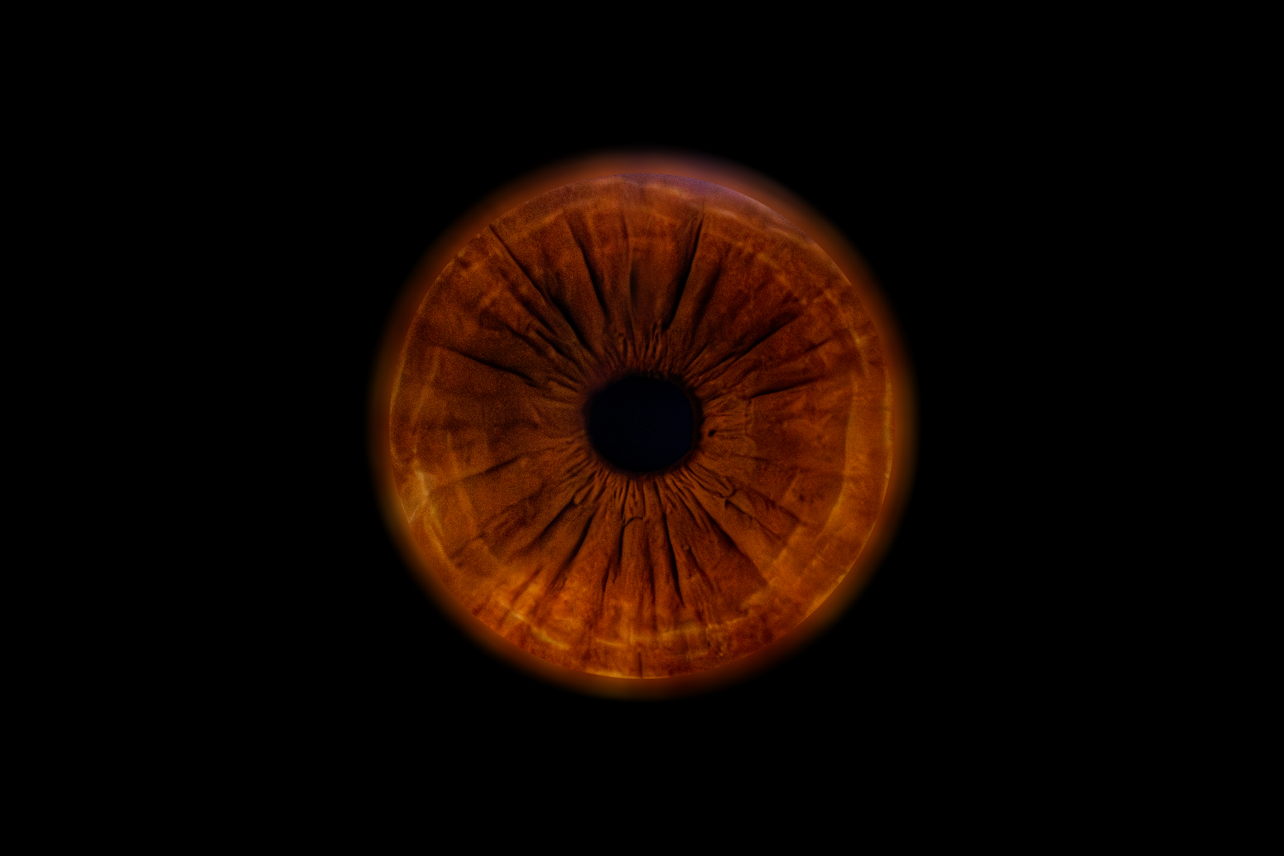 Iris Valentin.png