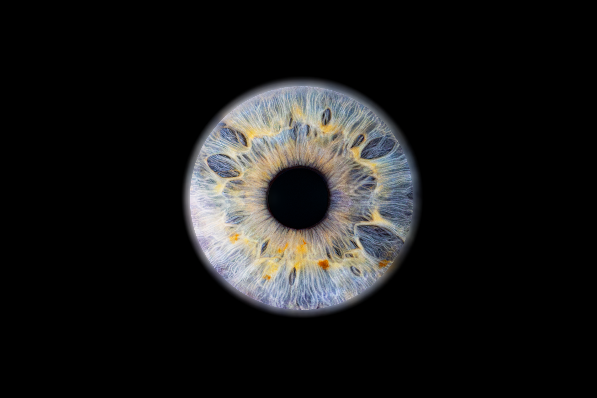 Iris Jordan.png