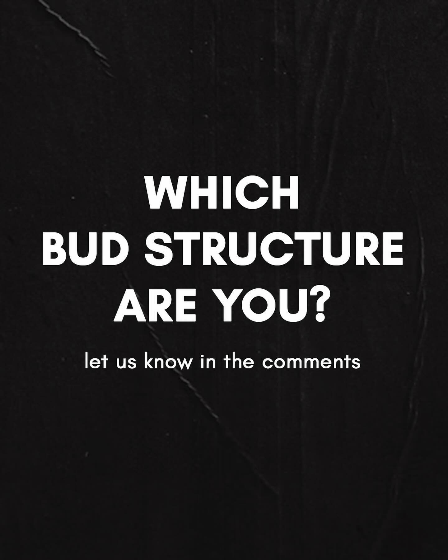 Which bud structure are you picking ? 👀🌿

#bud #structure #whichoneareyou #goodgrades #classisinsession #qgtm💰
