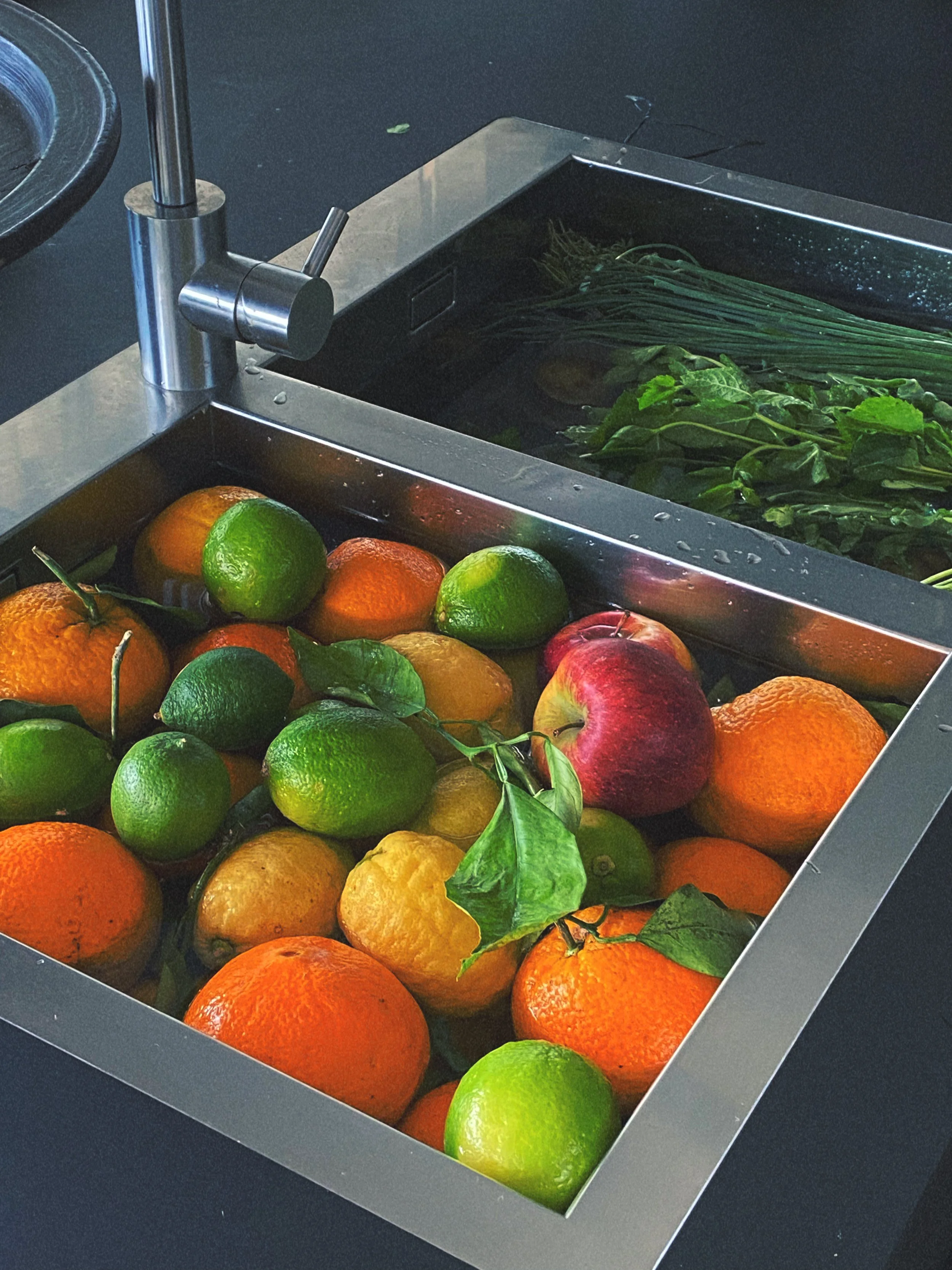 AfterlightImage 21.JPG