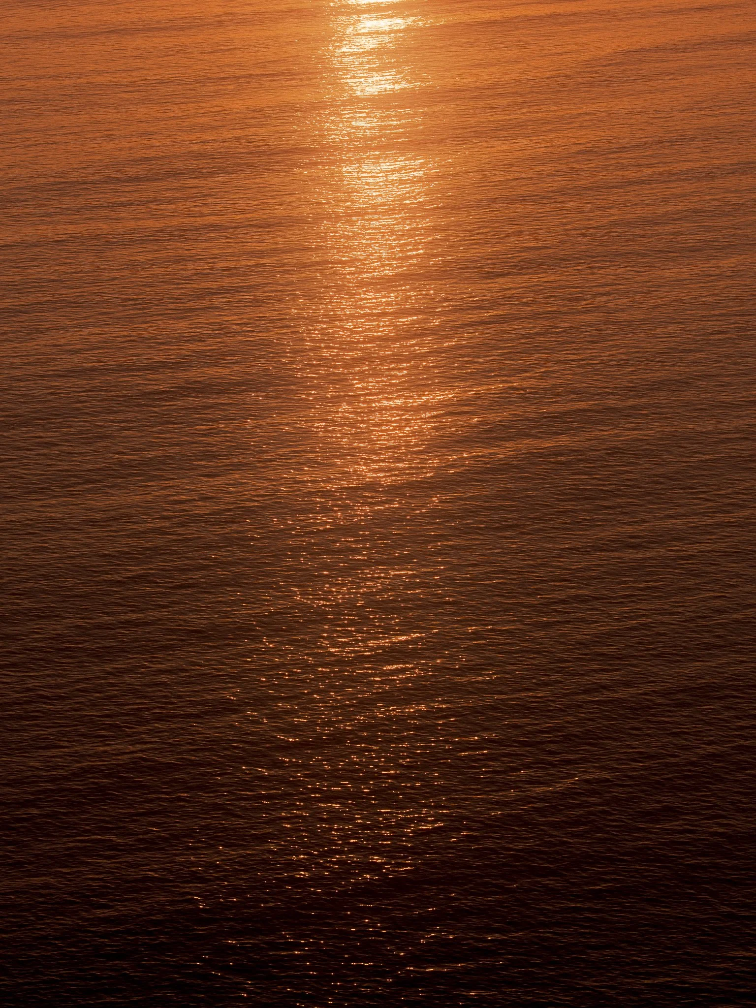 DSCF5657.jpg